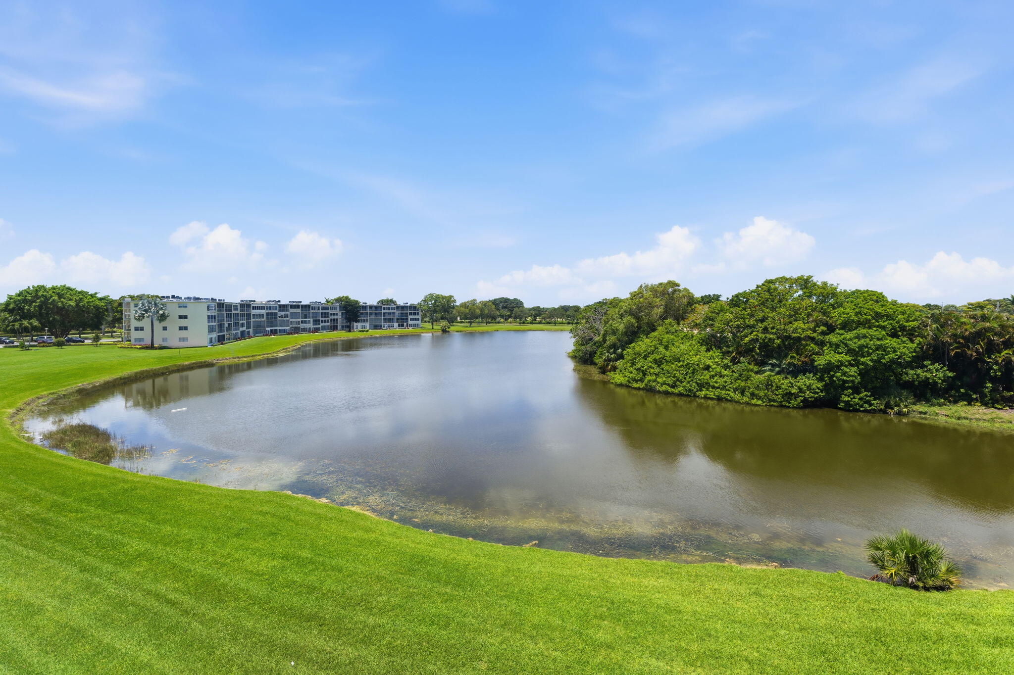 AINSLIE AT CENTURY VILLAGE CONDO - Residential