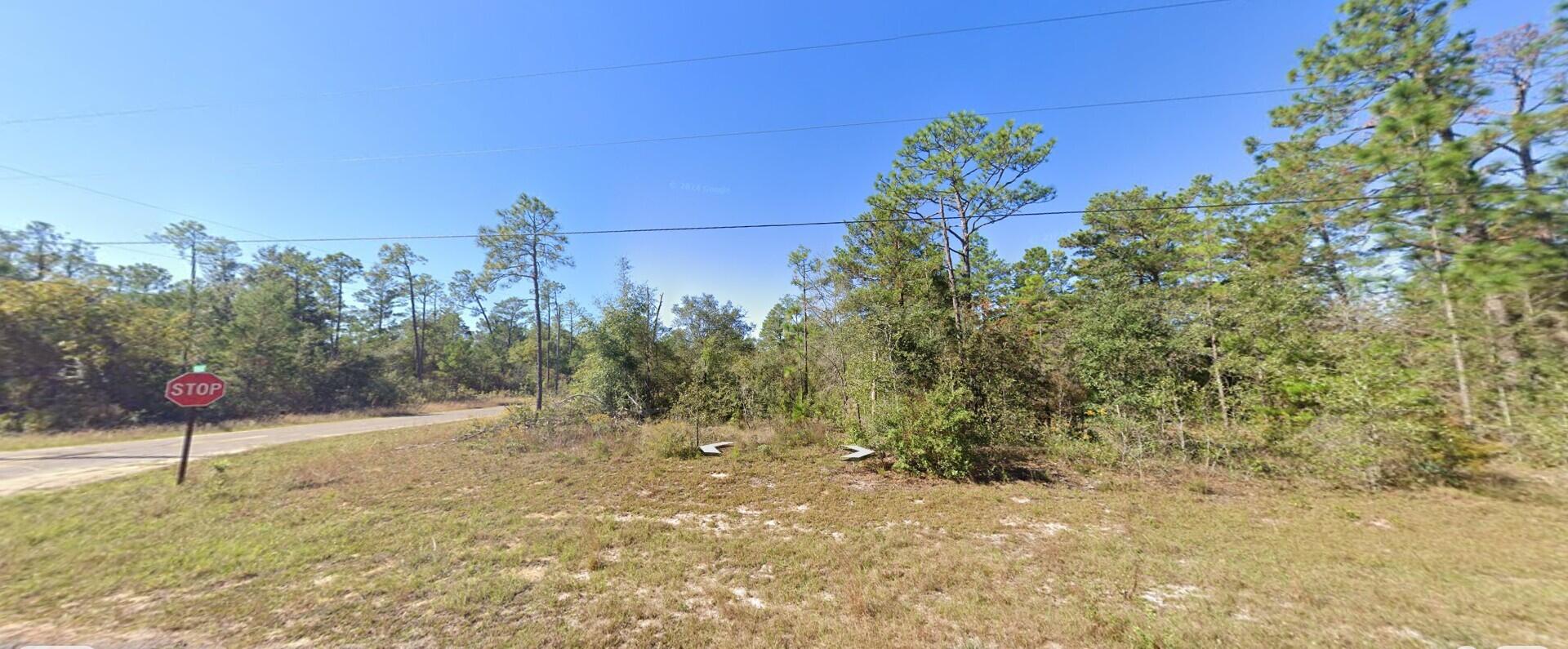 Build your dream home on this vacant lot in the growing community of Sunny Hills, located in Washington County, Florida. Situated on Merrick Dr, this property offers a peaceful setting with paved road frontage and convenient access to local parks, golf courses, recreational lakes, and everyday amenities. Sunny Hills is a rapidly developing area in Northwest Florida, known for its affordability, natural surroundings, and proximity to Panama City Beach, approx. 45 min. away. Whether you are planning to build a primary residence, a vacation getaway, or purchase as an investment, this Lot offers excellent potential in a community experiencing continued growth and development. Buyer to verify all information deemed important, including zoning, land use, utilities, flood zone, and building req. From Highway 77 in Chipley, head south and turn east onto Elkcam Boulevard. Continue on Elkcam Boulevard, then turn onto Merrick Drive. Follow Merrick Drive to the subject property.  GPS Address: Merrick Dr, Chipley, FL 32428.