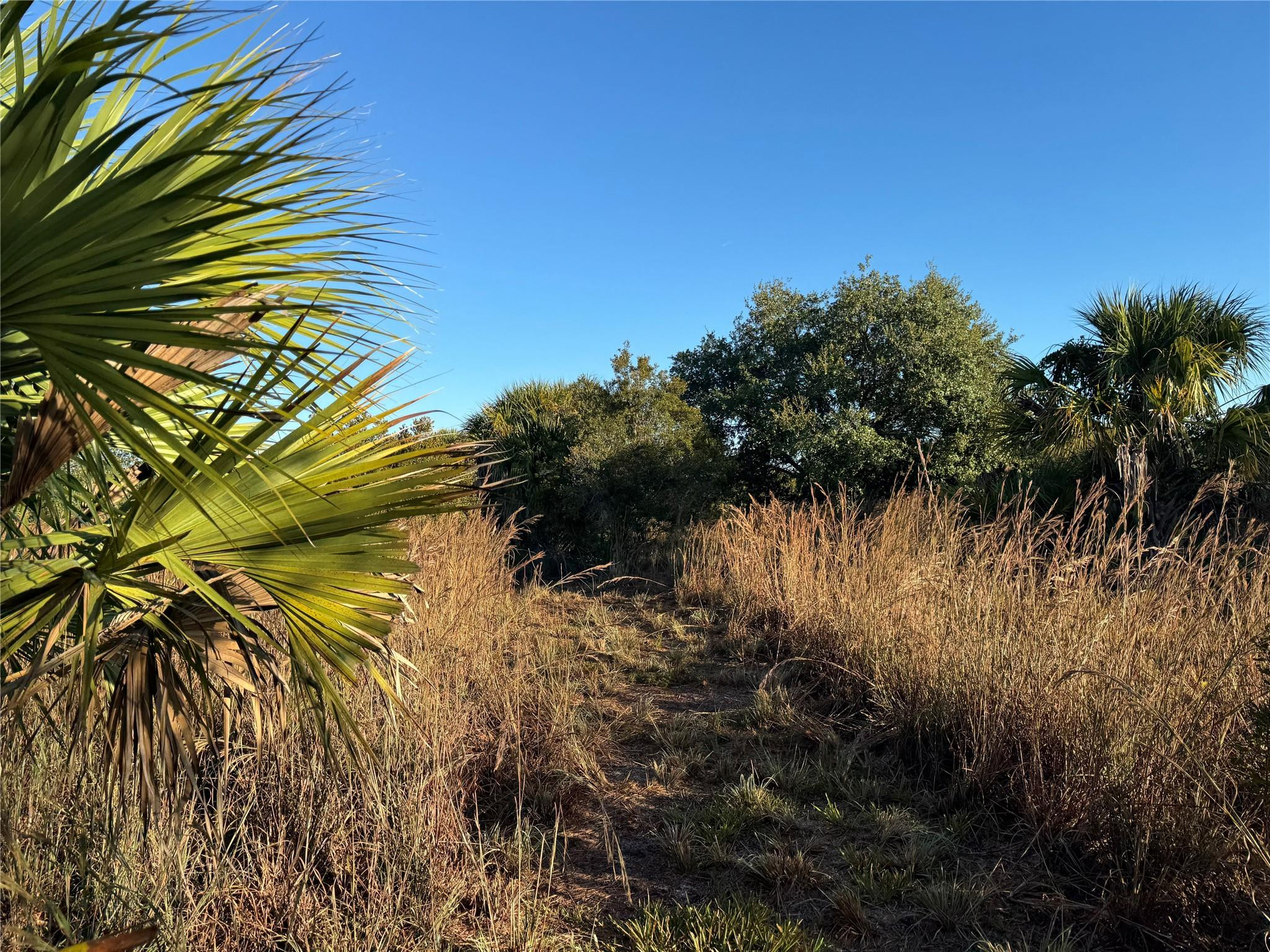 Cabbage Wood Ranches - Land