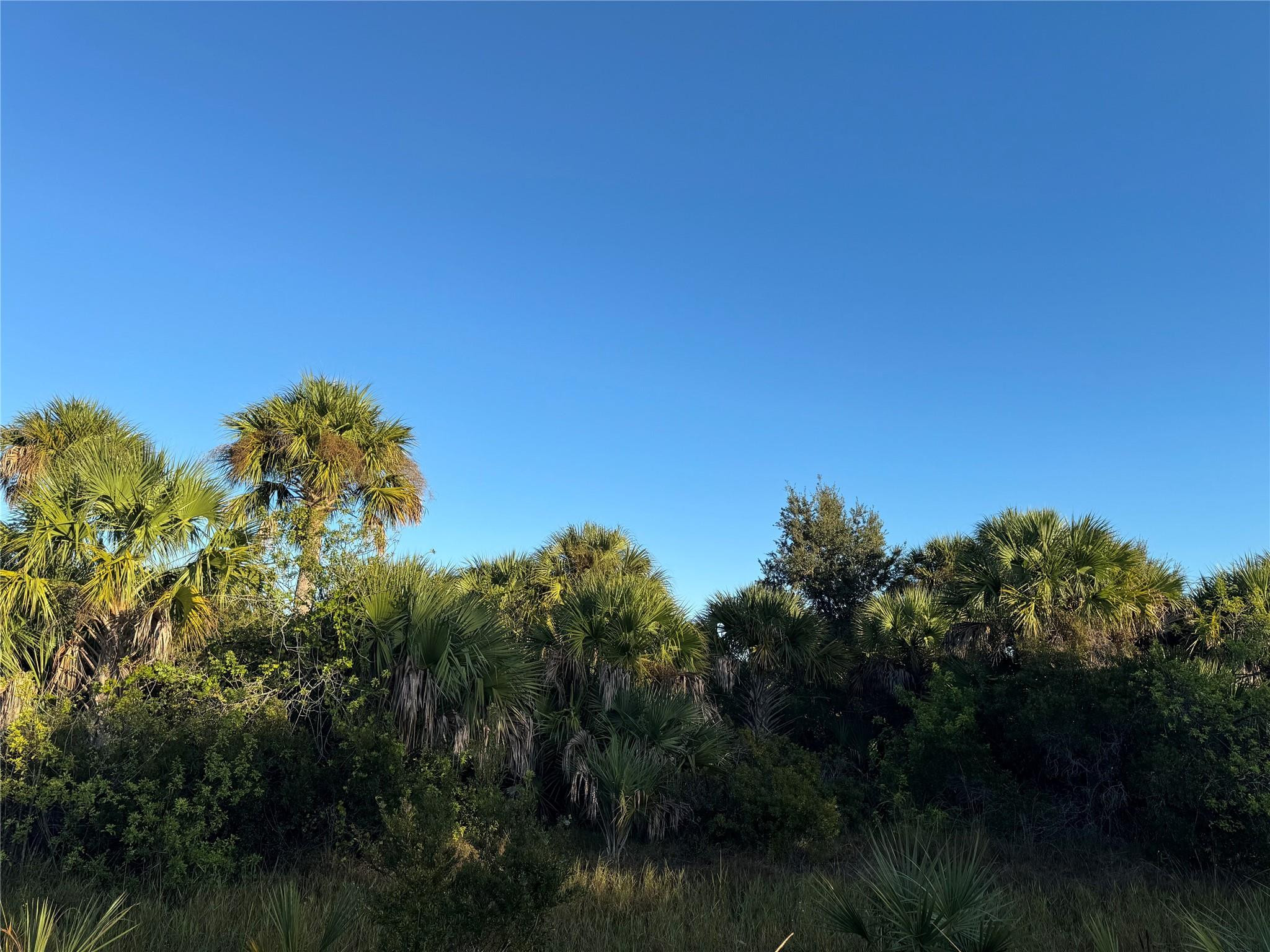 This beautiful 25.48 acre property has loads of potential ! It is great for recreation, homesite, or agriculture . It is located in a quiet, rural neighborhood. There are deer and turkey onsite. Taxes Reflect No Ag Exemption. Property is in an HOA but not currently being enforced. Property is vacant land with Electric on the road in front of the property. No Septic Tank onsite.  Call today!
