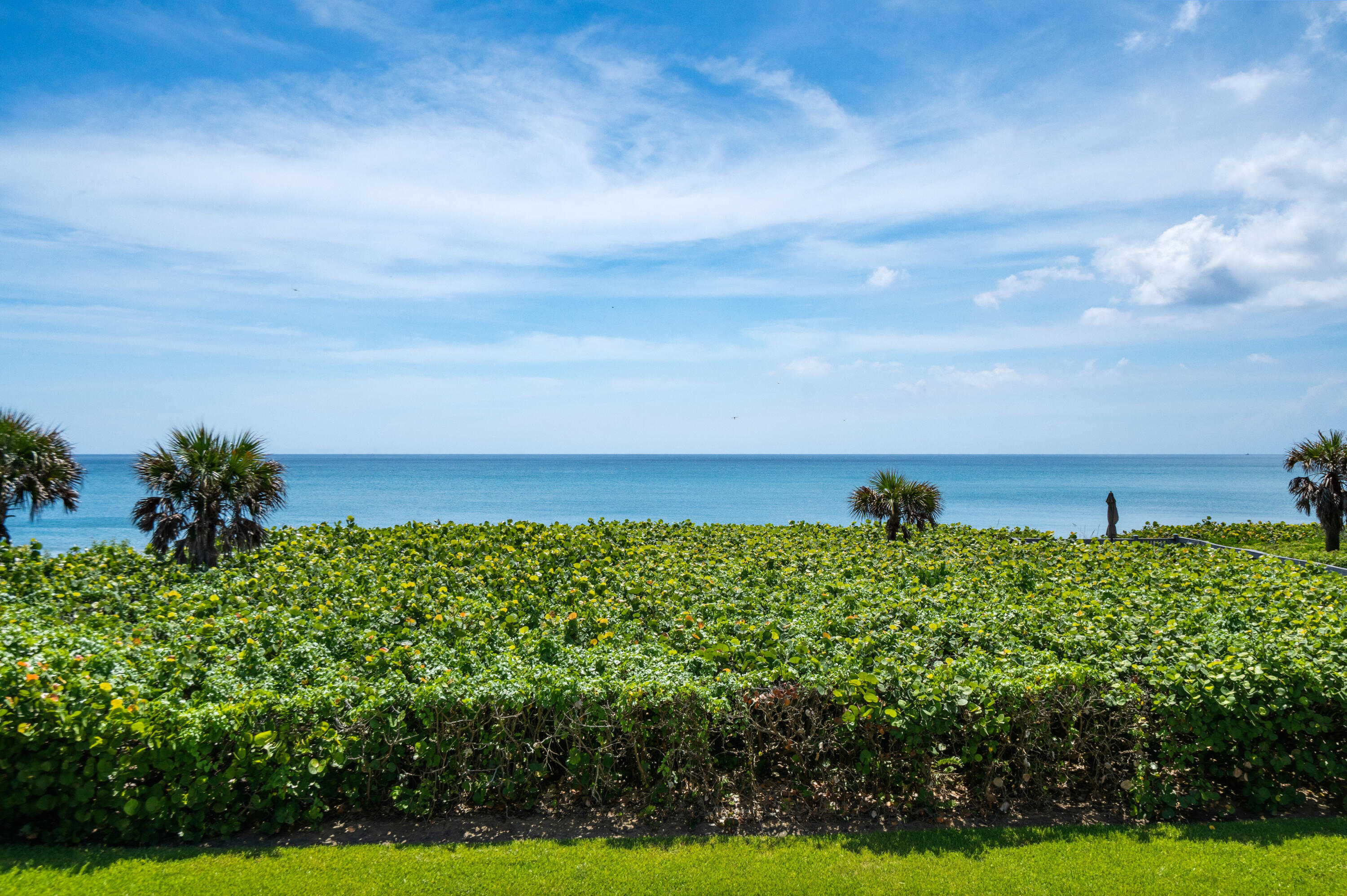 JUNO SHORES RESORT CONDO - Residential