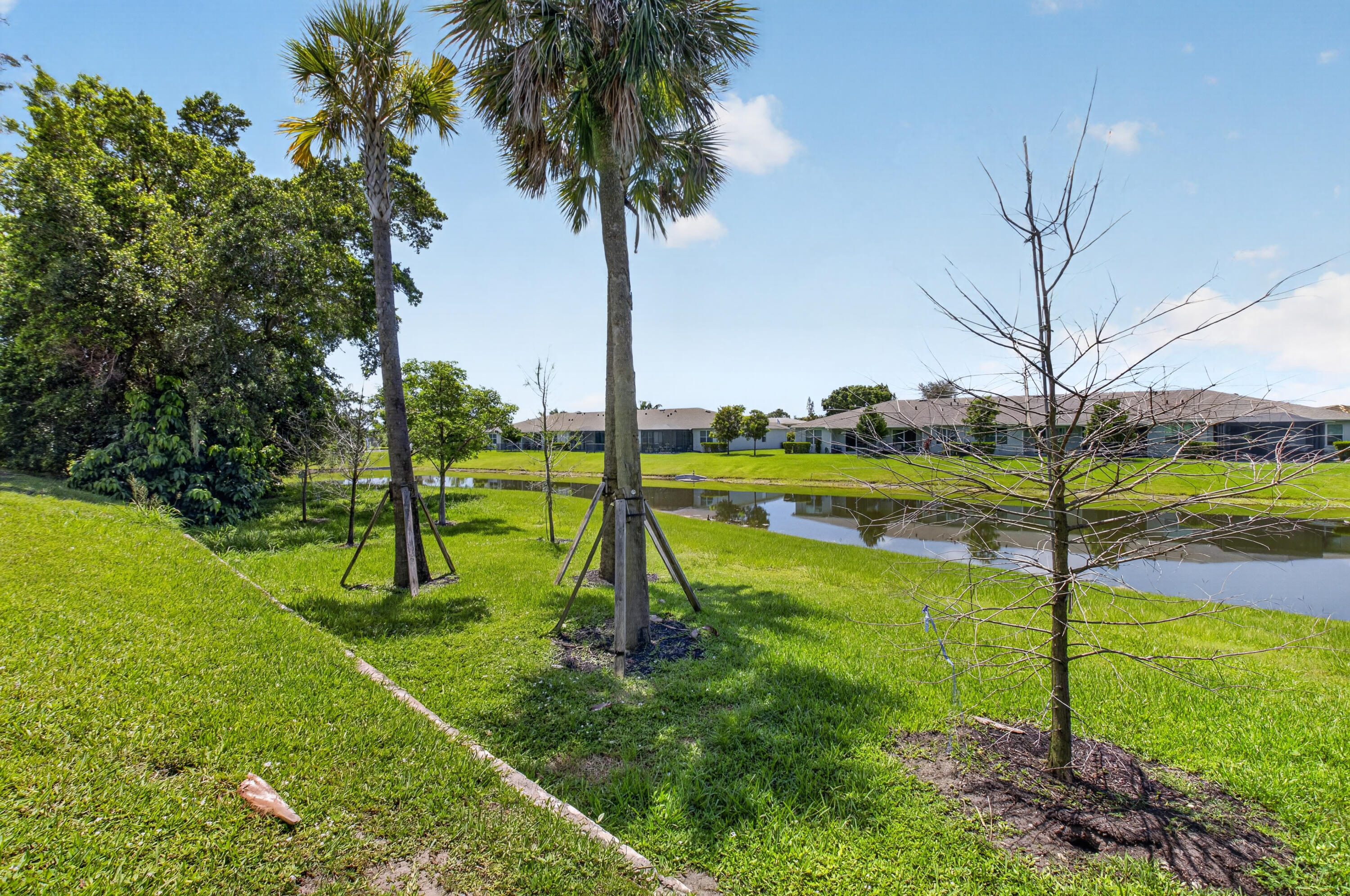 PALM GREENS AT VILLA DEL RAY CONDO I - Residential