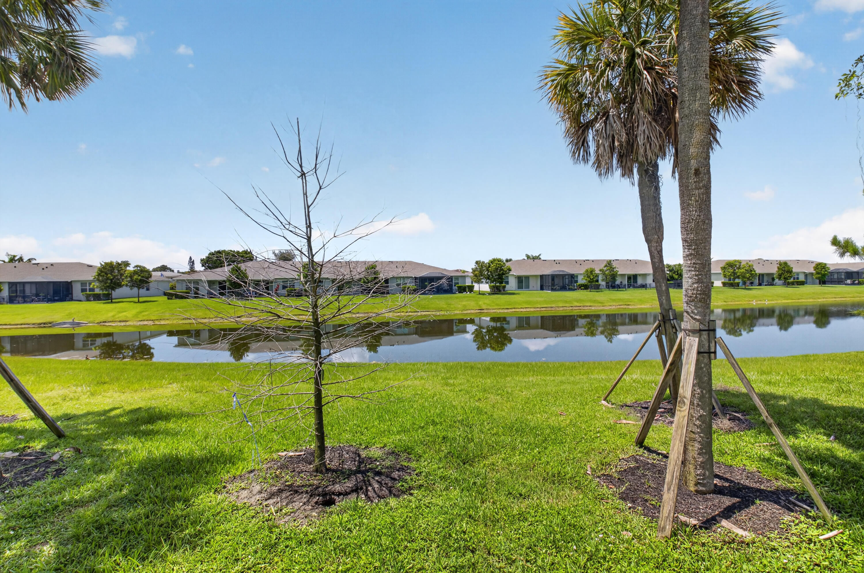 PALM GREENS AT VILLA DEL RAY CONDO I - Residential