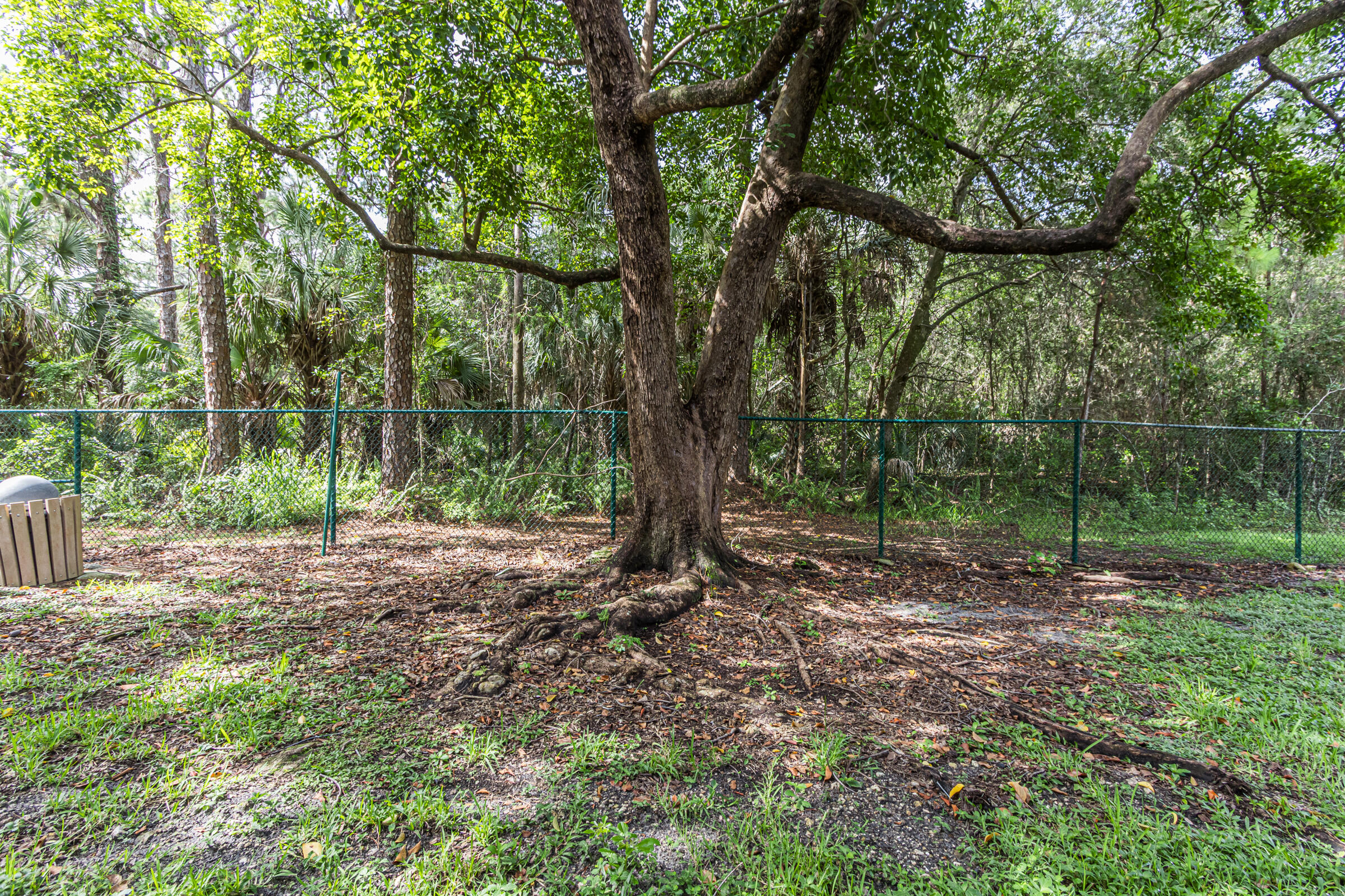 BONAIRE AT WOODMONT NO 5-B - Residential