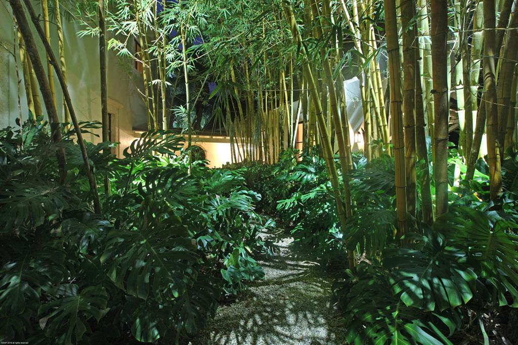 BEARS CLUB - Residential