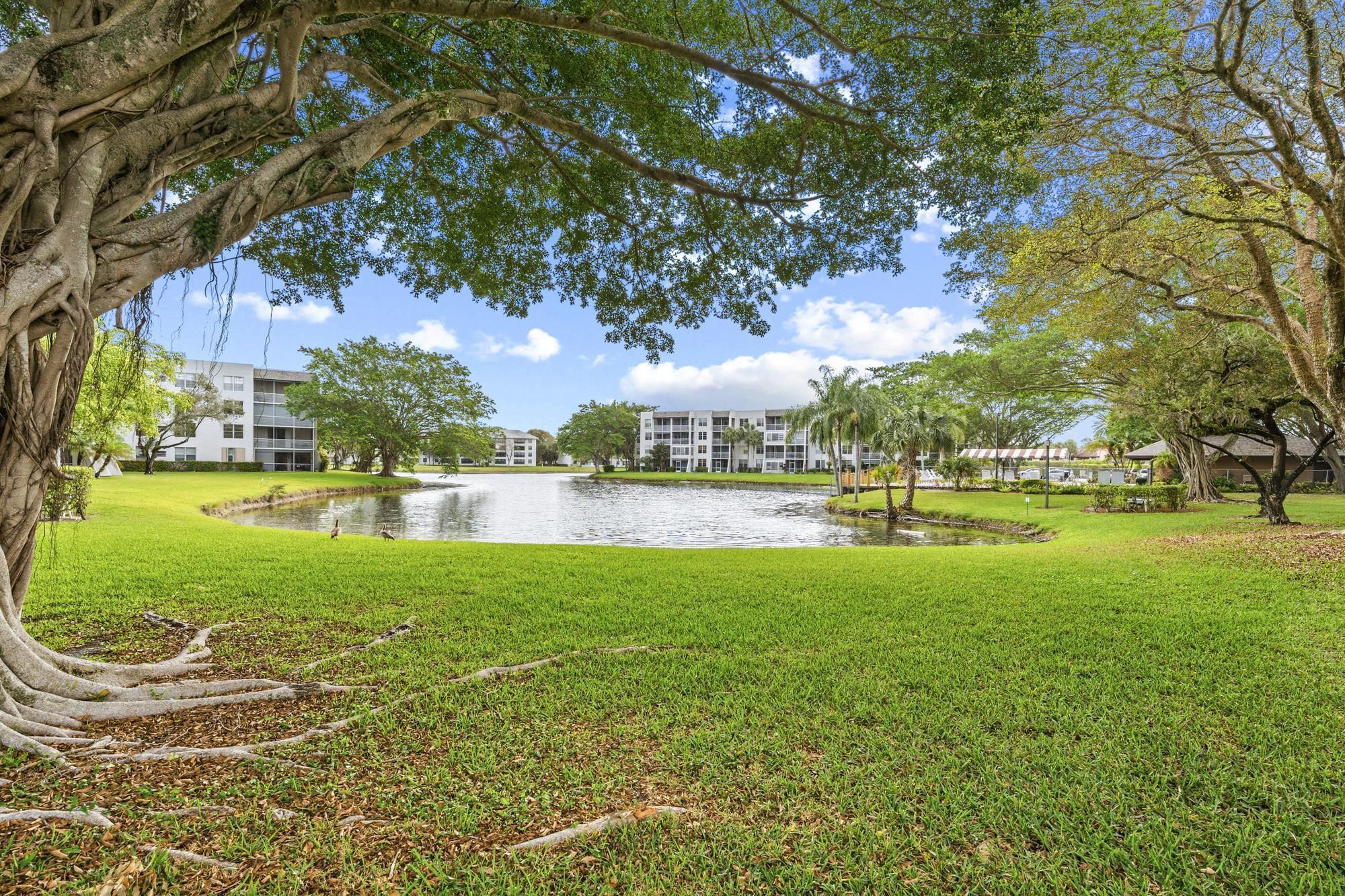 Beautiful 2-bedroom, 2-bath condominium with peaceful garden views located in the desirable Pine Island Ridge Country Club community. This well-maintained home features updated electrical, a brand-new water heater, and an A/C system less than one year old. Enjoy access to a beautiful community pool and lush landscaped grounds. Residents also have access to the Pine Island Ridge Country Club 18-hole executive golf course (Par 66, 4,747 yards). Conveniently located near major highways, shopping, dining, and entertainment, and just a short drive to the airport, making travel and commuting easy. A great opportunity to enjoy the South Florida lifestyle in a prime location.