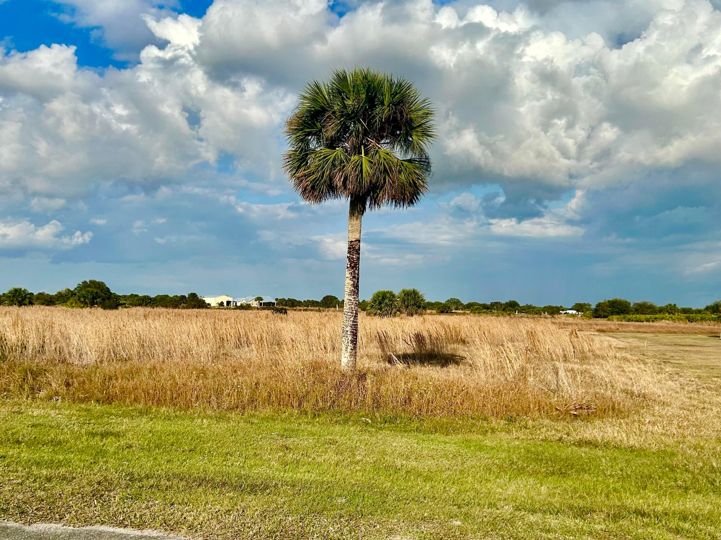 This beautiful & tranquil 10.67 acre lot is located in a beautiful rural gated community called Sherman Wood Ranches. Requirements for building a Single-family home is a minimum of 2,000 sq ft under air, an option to have a guest house/ in law suite up to 50% of the primary house. Build a barn, store a boat and or RV, have horses or cattle and so much more. This quiet deeded community has designated 5 miles of horse trails, paved roads, underground utilities and is located within 10 minutes from downtown Okeechobee, close to Lake Okeechobee fishing, 30 min from I-95 & the Florida Turnpike, Minutes from the County Agri Civic center and Fair grounds. Come see this tranquil hidden gem!
