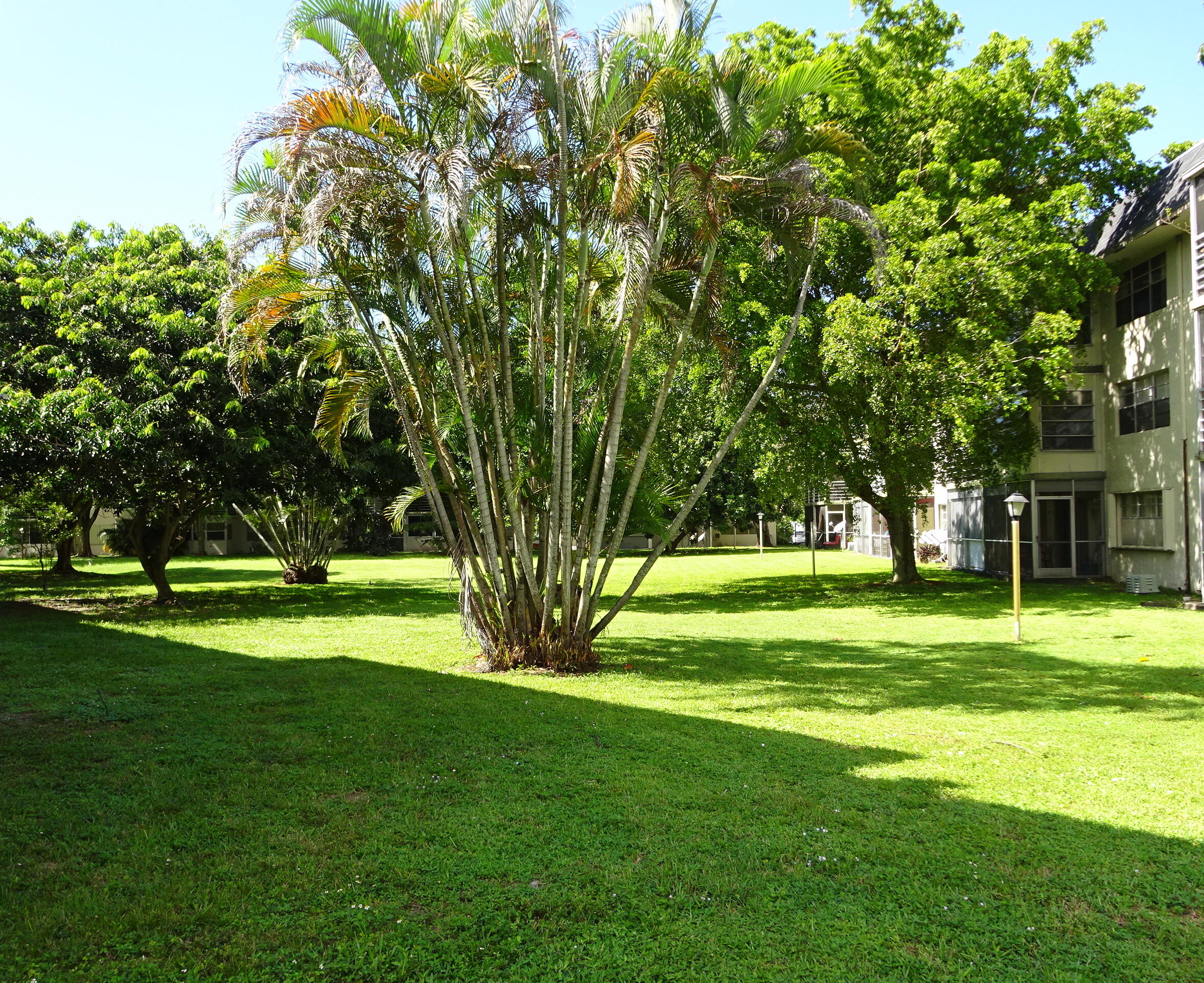 APPLEGREEN CONDO APTS 1 - Residential Lease