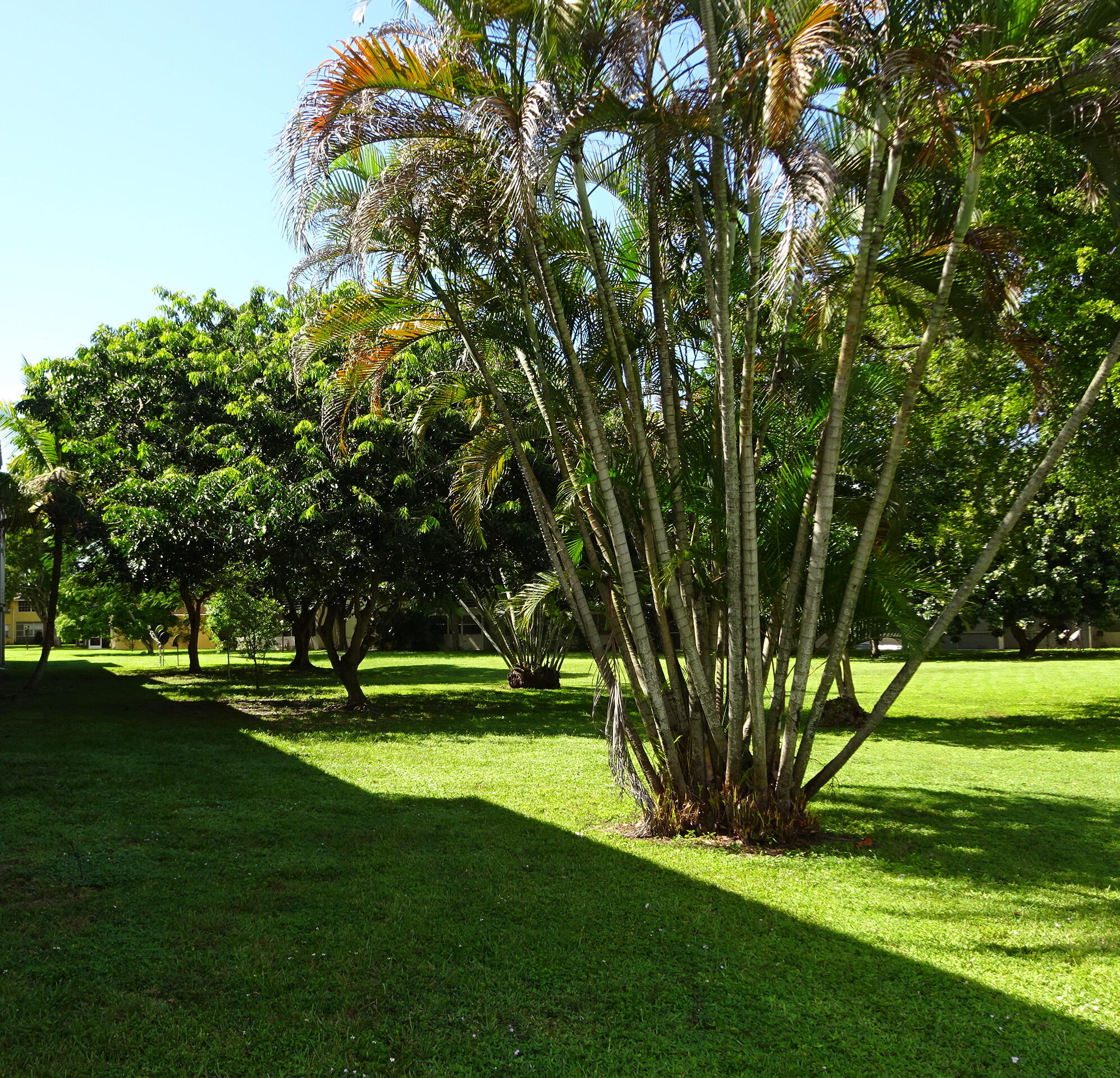 APPLEGREEN CONDO APTS 1 - Residential Lease