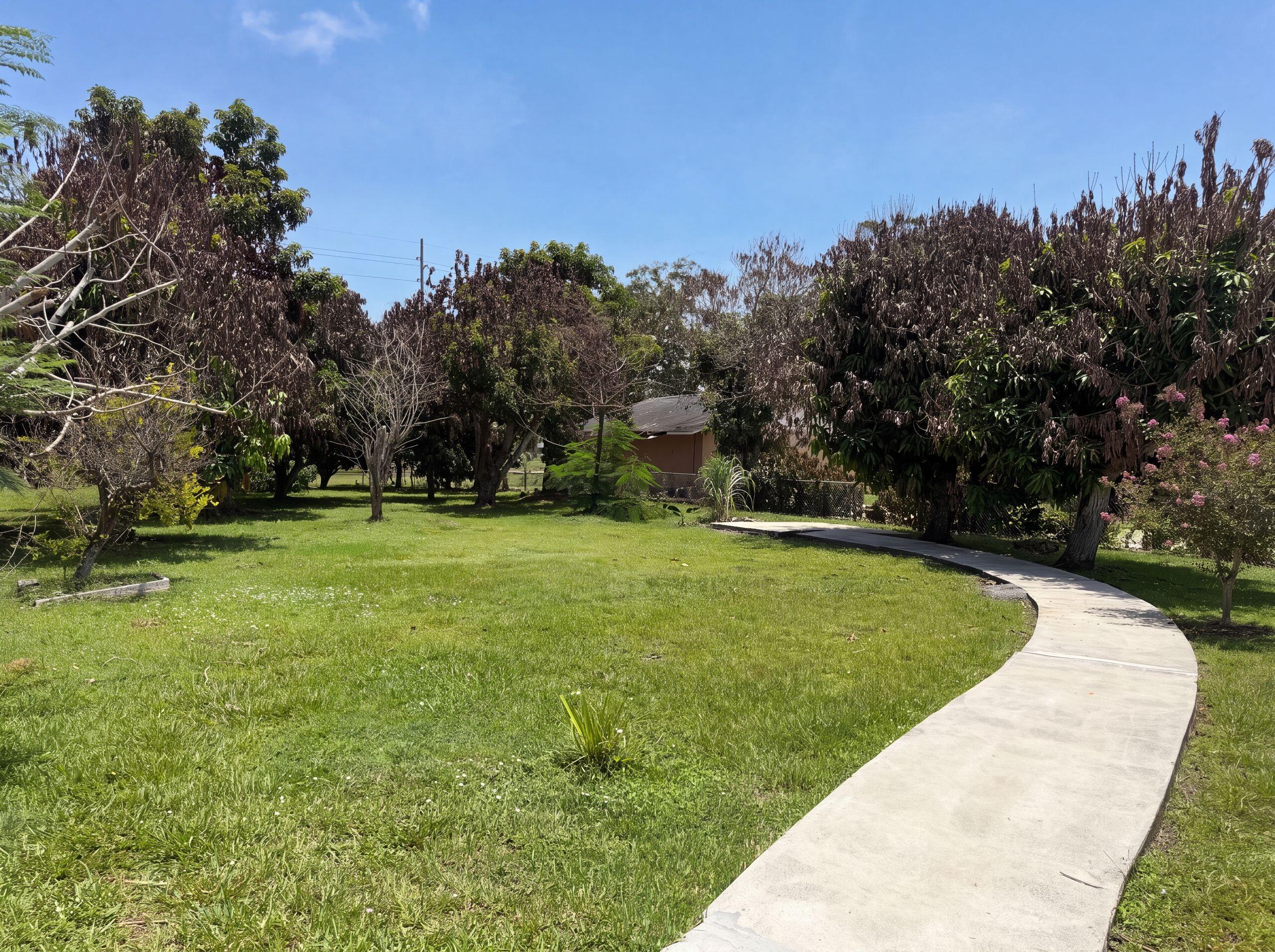 PINE TREE PARK SUBDIVISION - Residential