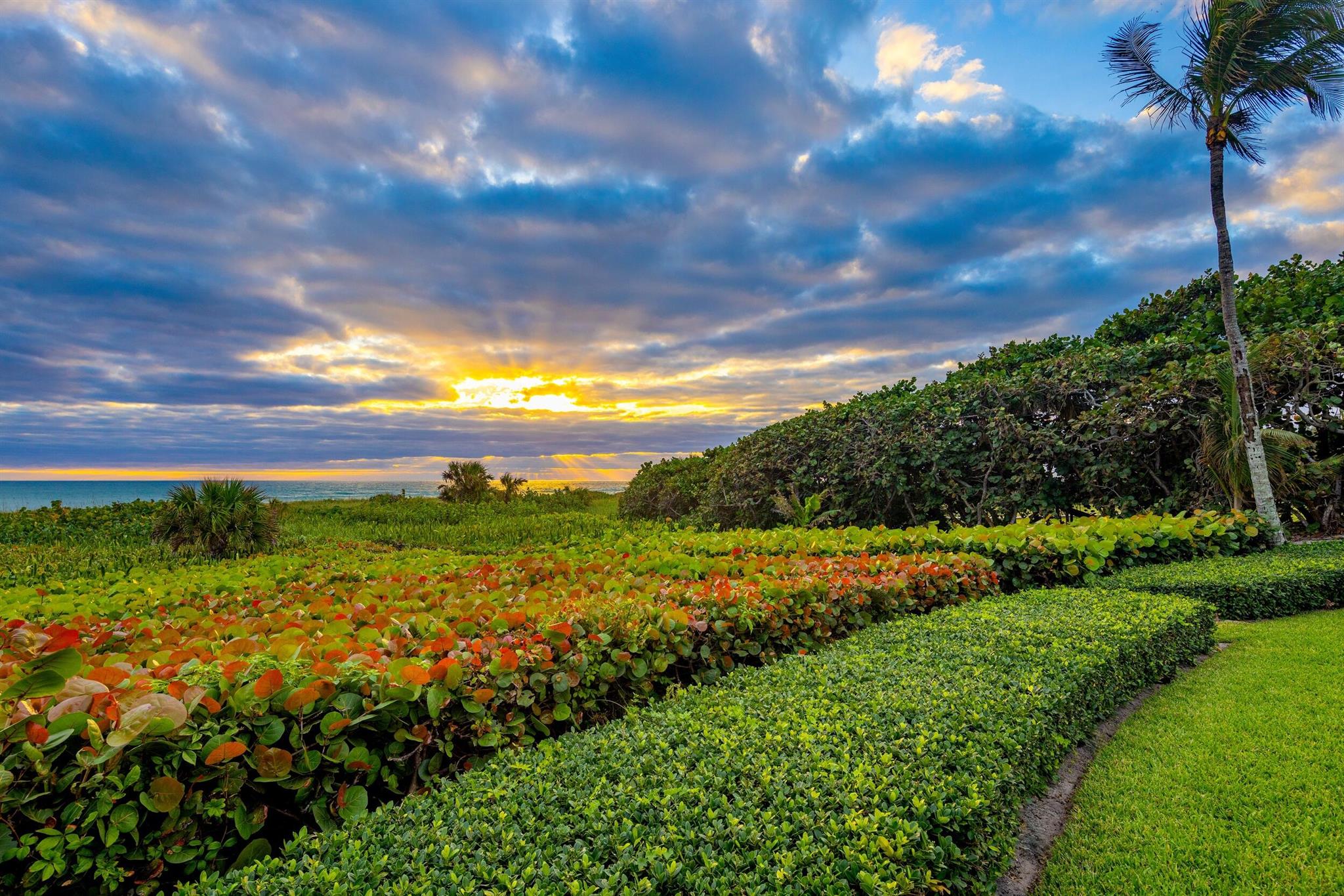 JUPITER ISLAND - Residential