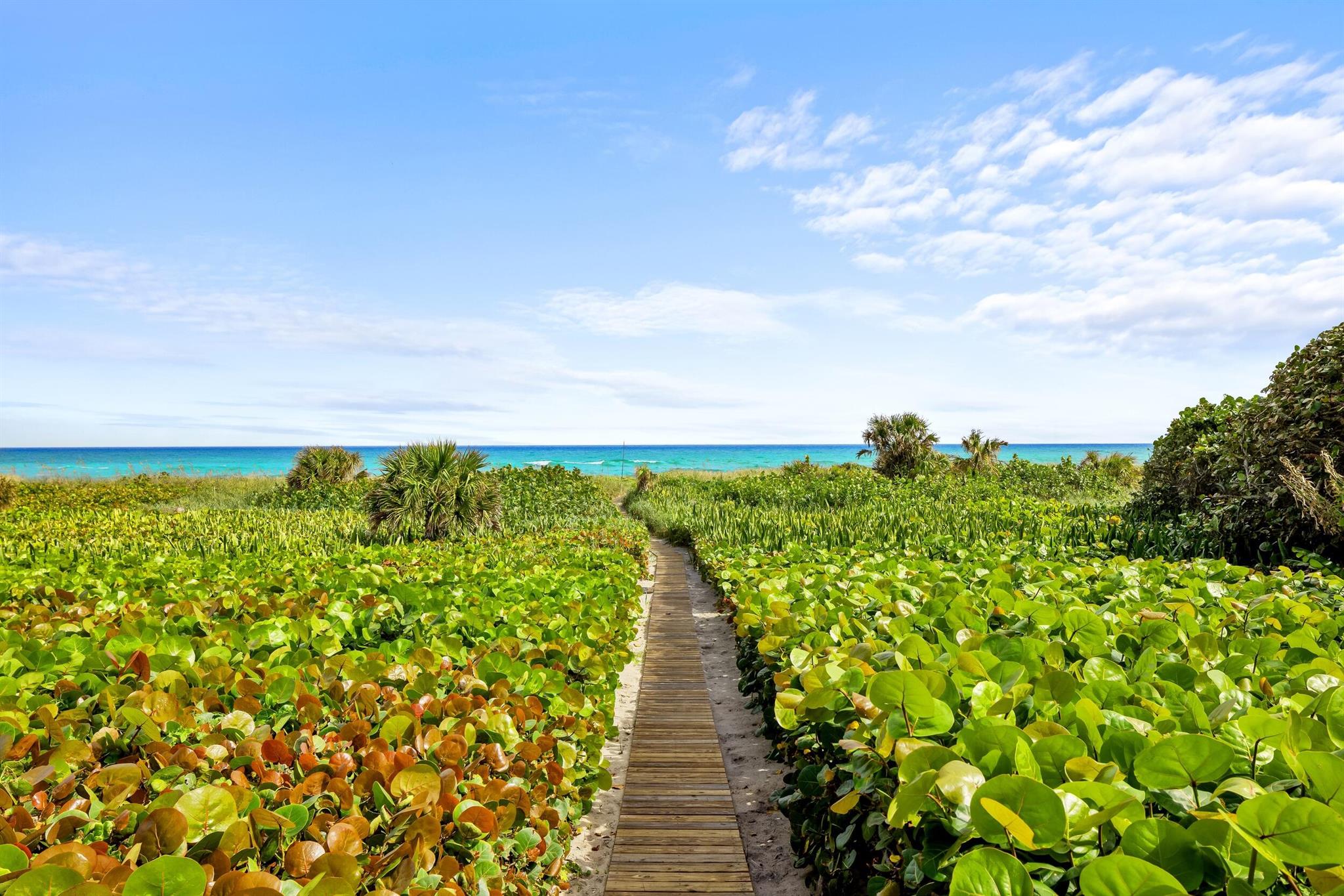 JUPITER ISLAND - Residential