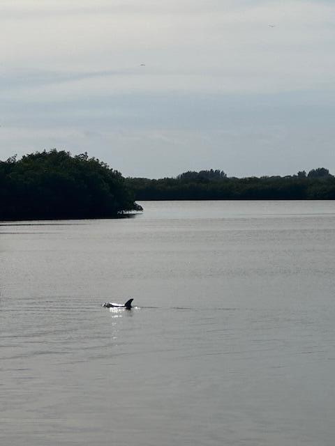 ORCHID ISLE ESTATES SUBDIVISION - Land