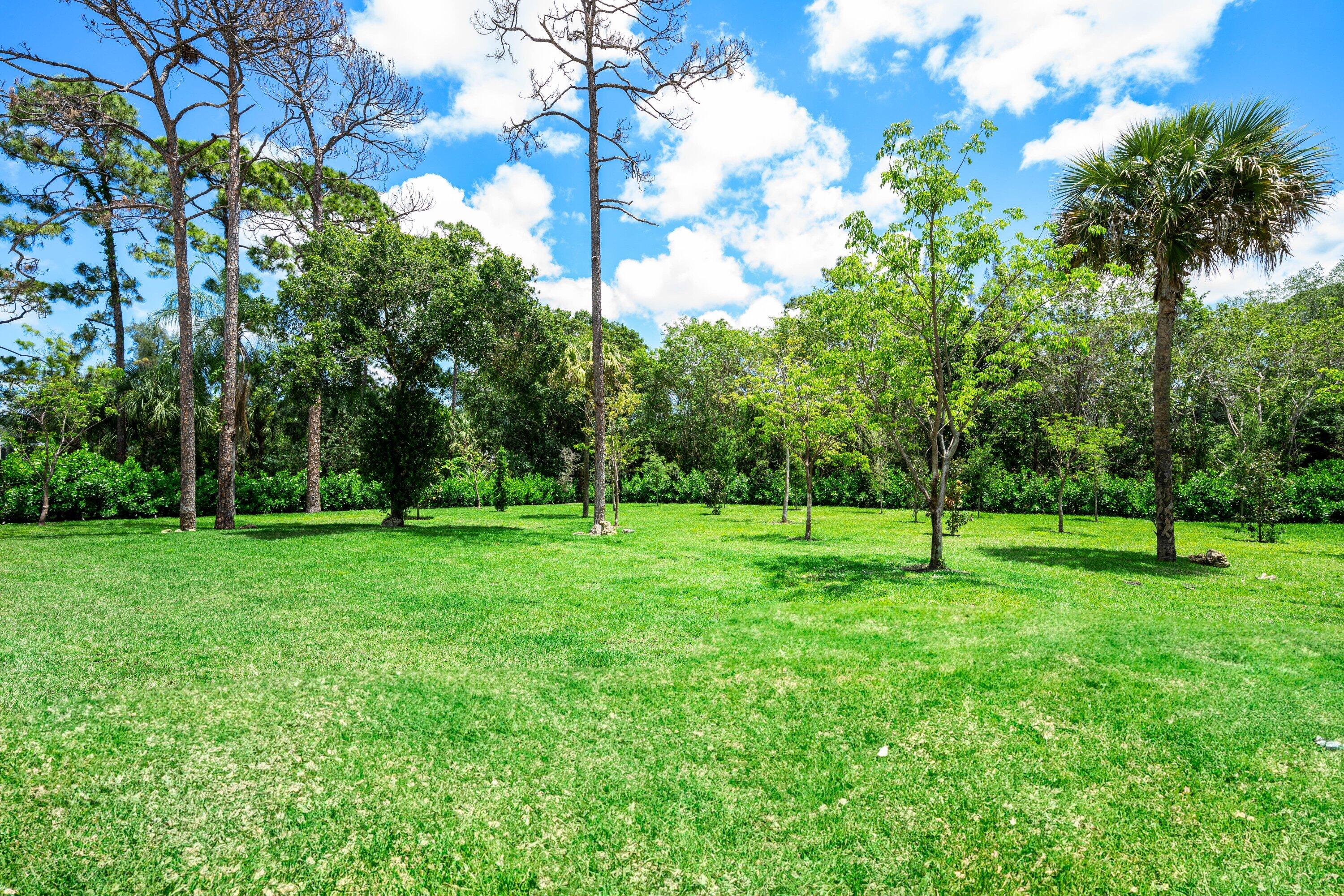 Pine Tree Estates - Residential
