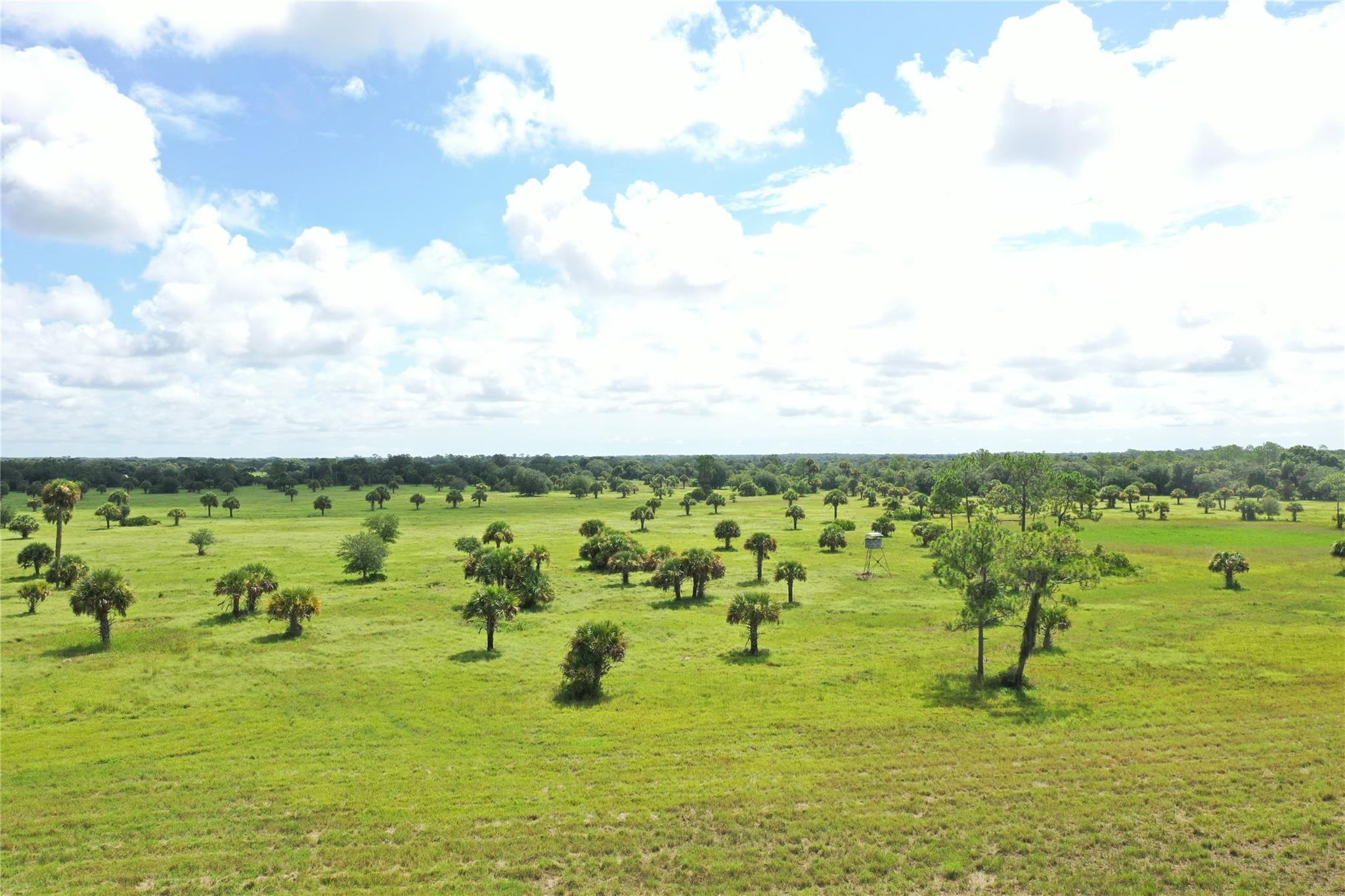 Unique Opportunity to own a pristine piece of old Florida! This property was once part of the exclusive VIP area of the Alico Ranch.  It  is excellent for a cow calf operation but also boasts abundant wildlife including white tailed deer, Osceola turkey, bear, and panther. Perfect for recreation , ranching, hunting, or as a legacy property. Large lush pastures, oak hammocks, palm stands, and pines make up the stunning landscape. Located on a paved road with a private shell rock interior road it also has  an excellent drainage system, and many new fences.  This property has something for everyone, and at a price that makes it a great investment! While it is centrally located to both Labelle and Clewiston it still feels miles away from the hustle and bustle being next to State Preserve.