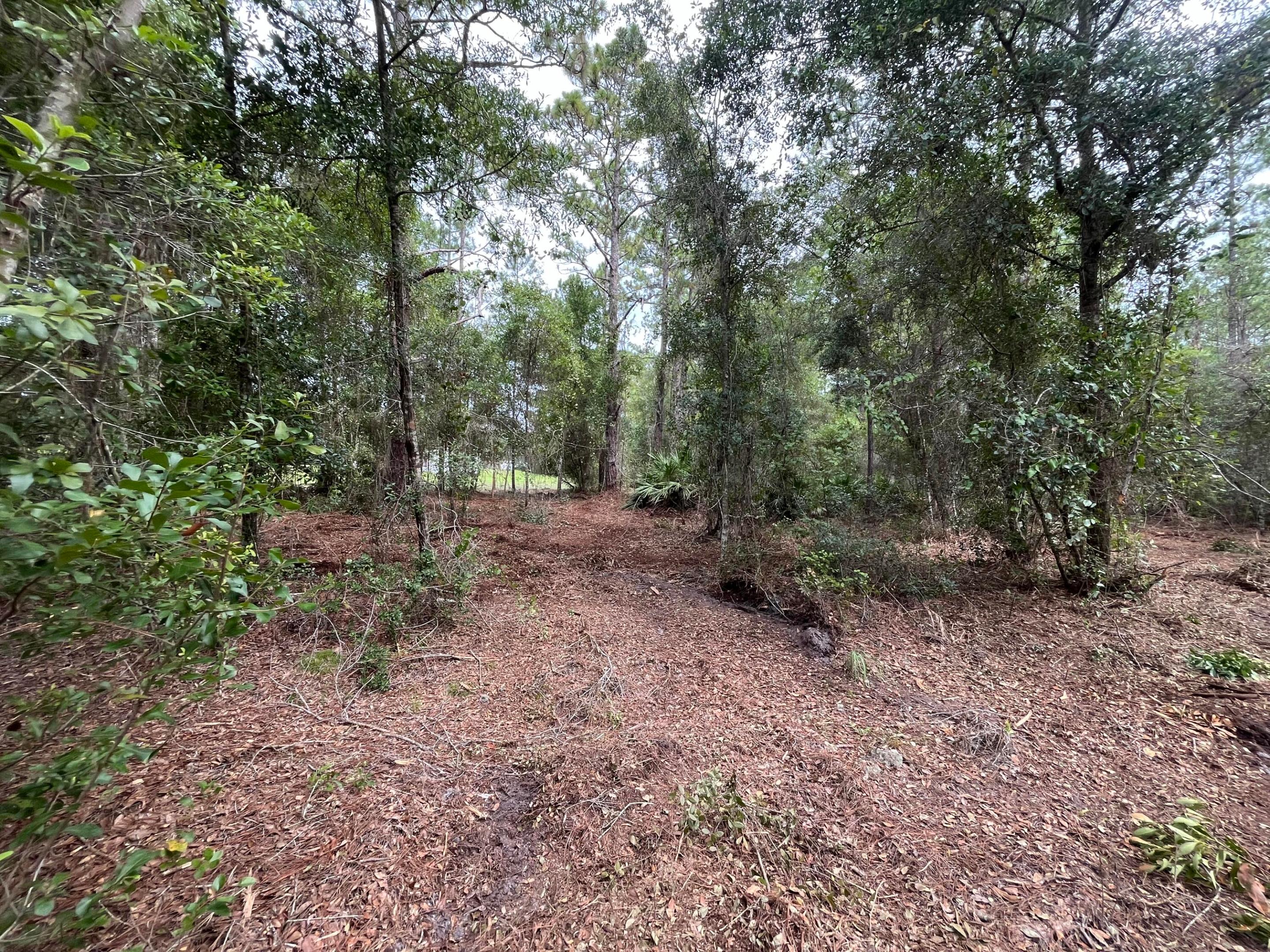 LAKE GEORGE MANOR - Land