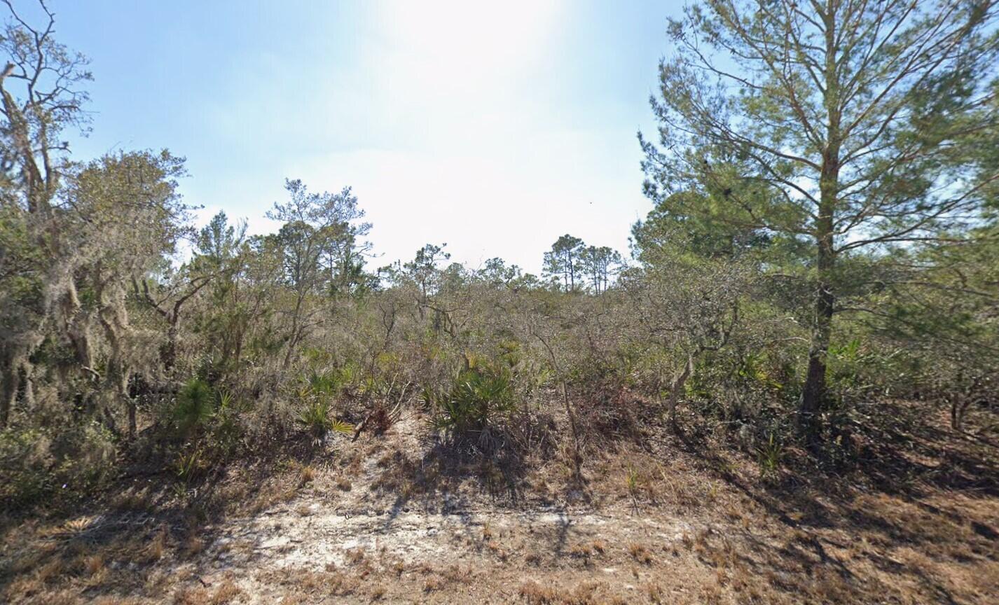 Nice 0.46-acre vacant lot located in a quiet area of Lake Placid. Great opportunity to build your dream home with plenty of space while enjoying peaceful surroundings and convenient access to nearby lakes, shopping, and dining in Highlands County.