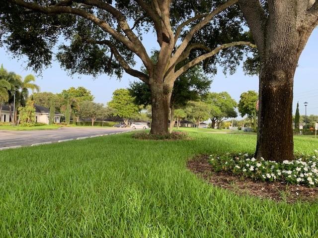 Limetree - Residential