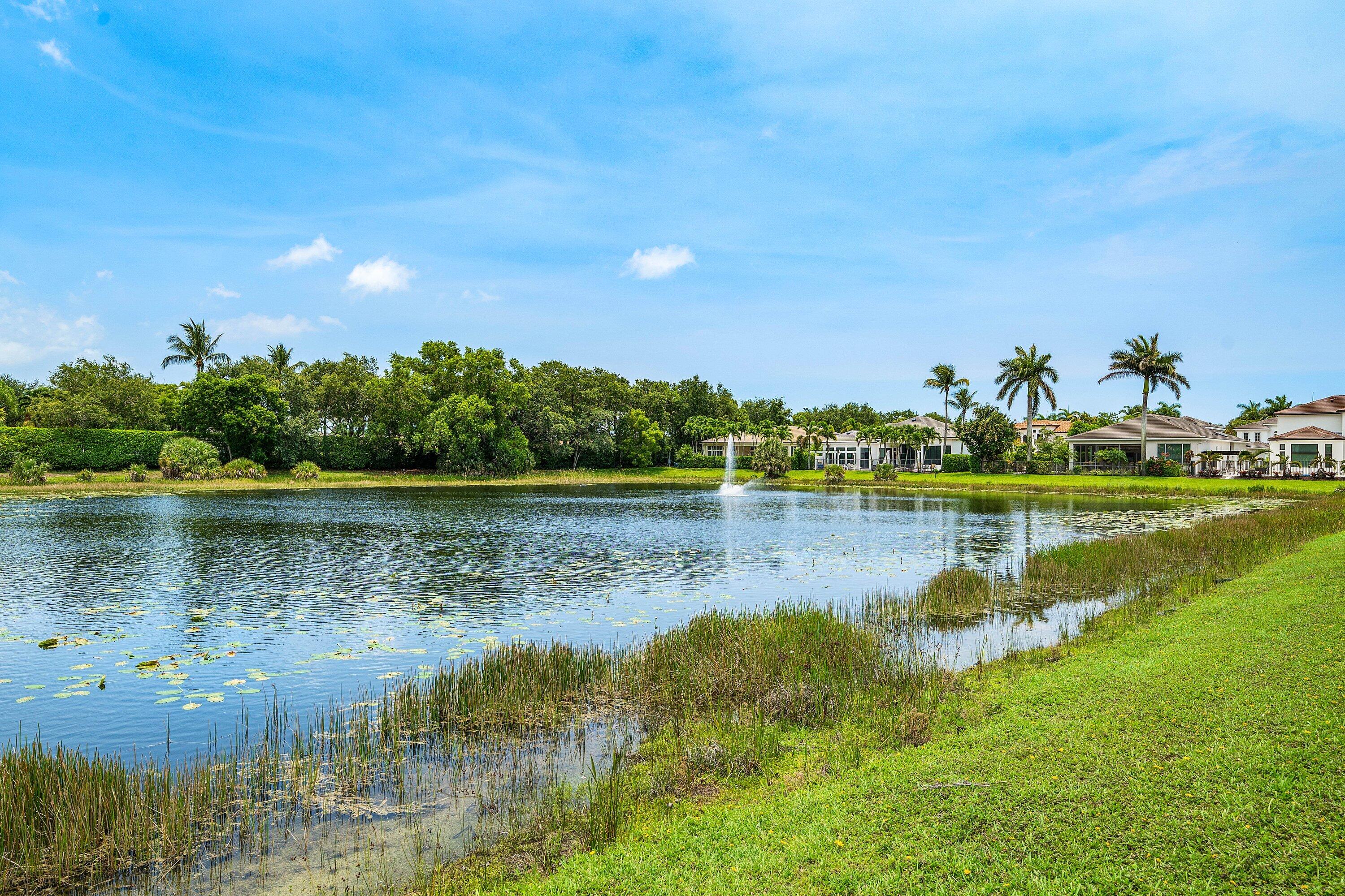 MIZNERS PRESERVE - Residential