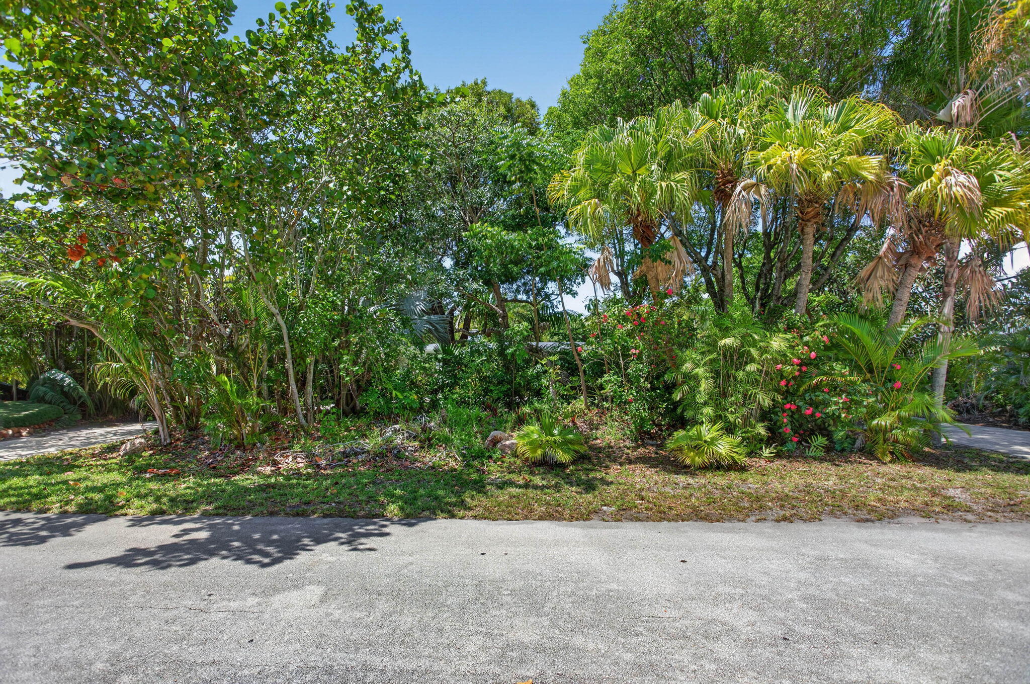 CORAL RIDGE - Residential