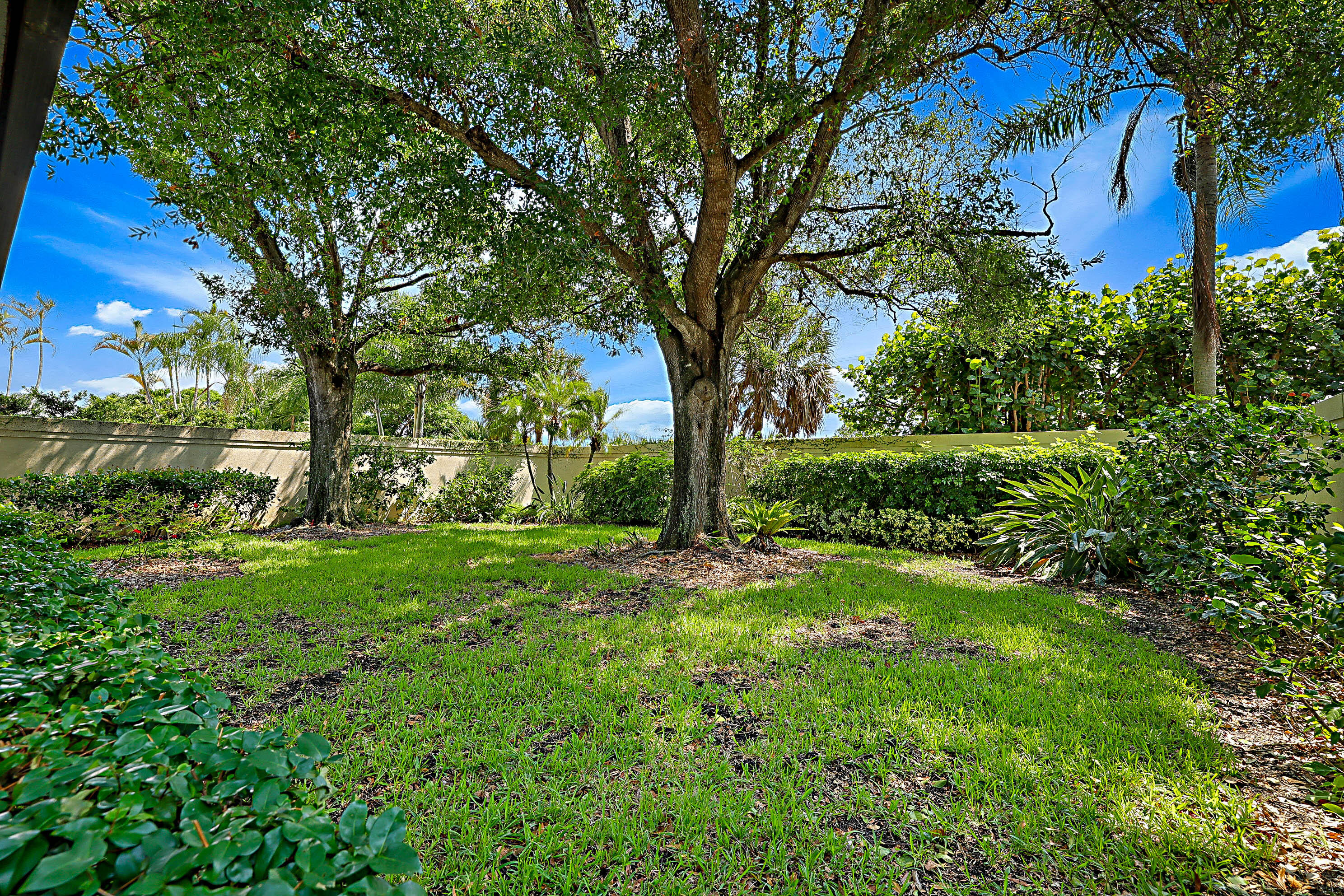 RIDGE AT THE BLUFFS - Residential