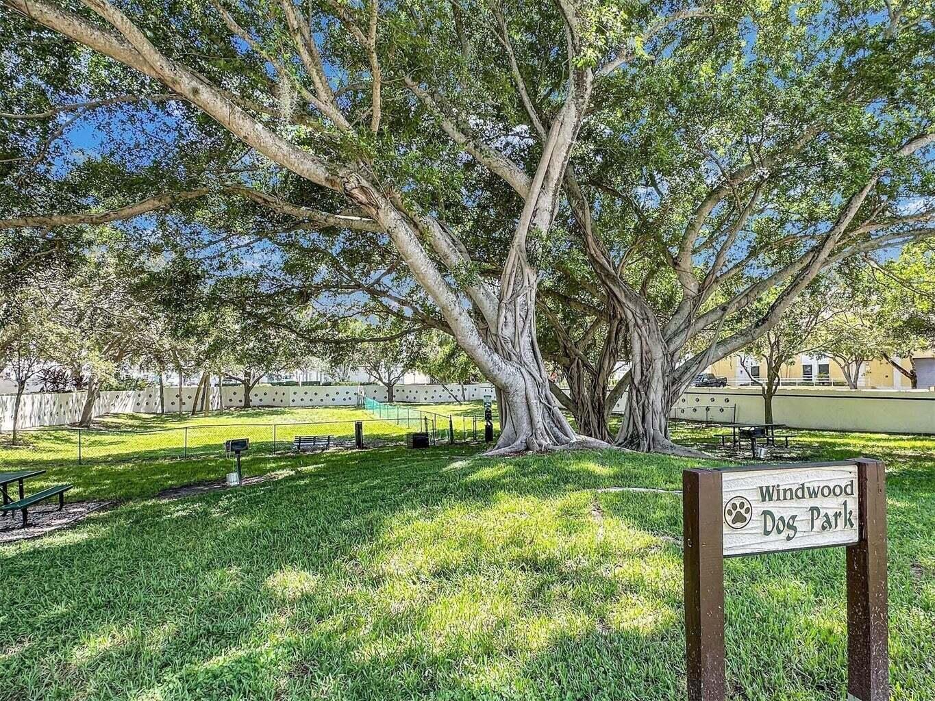 WINDWOOD CONDO - JAYWOOD - Residential