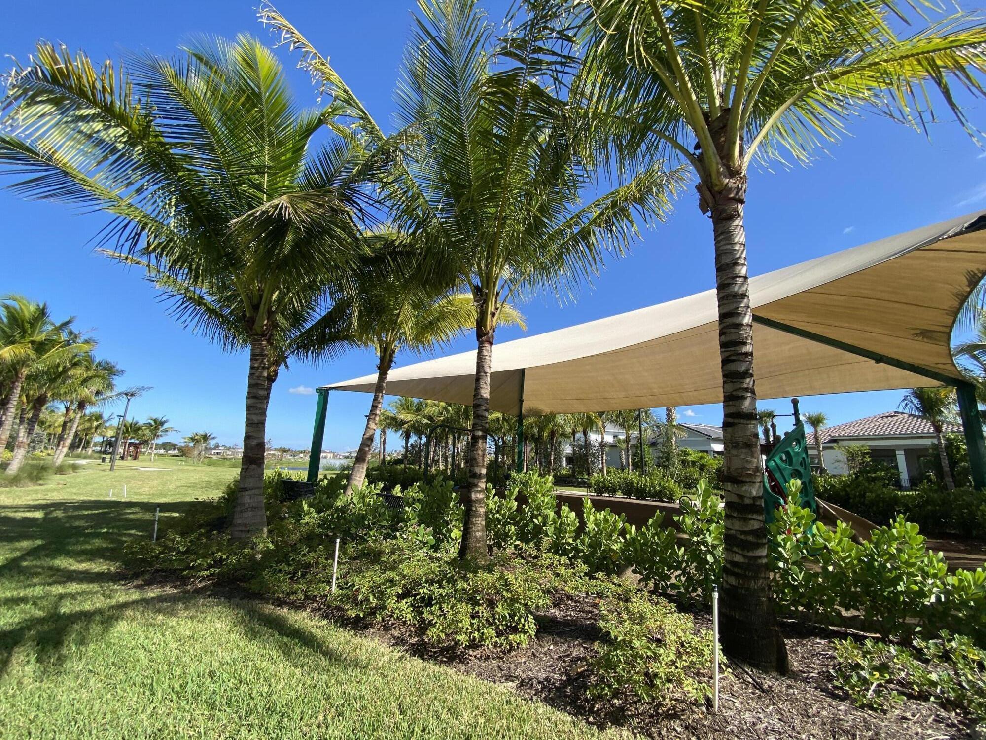 AVONDALE AT AVENIR - Residential