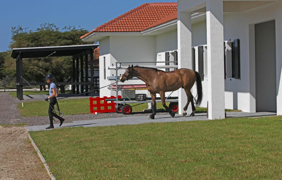 PALM BEACH POINT - Residential