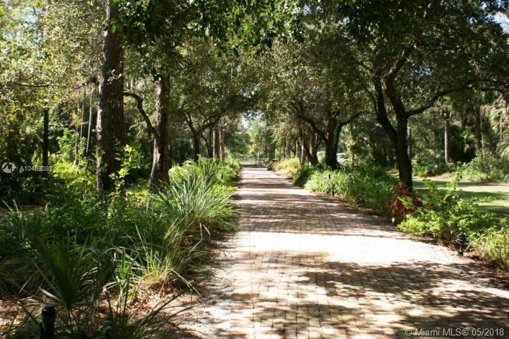 FOX TRAIL - Land