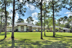FOX TRAIL - Land