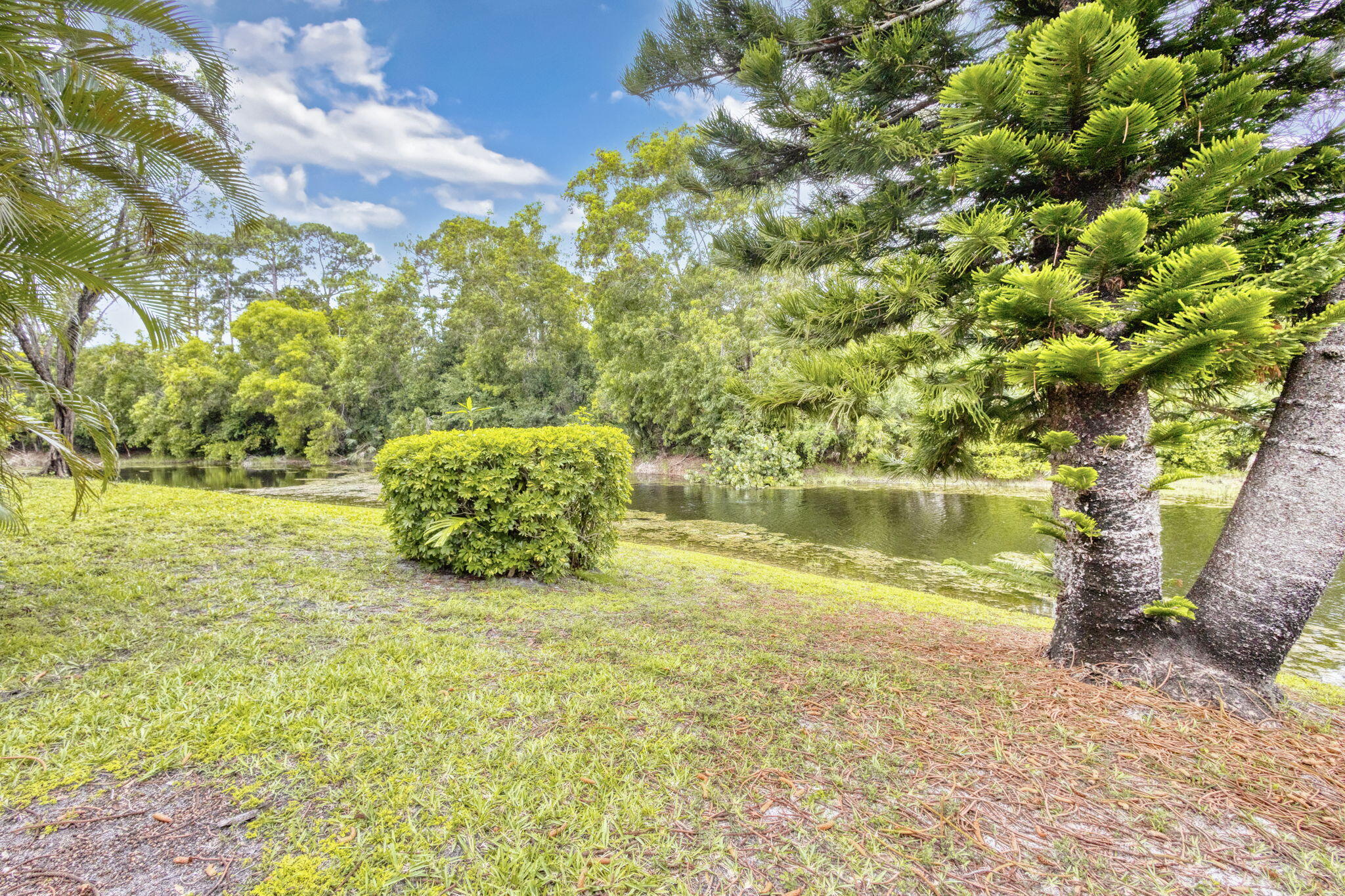 WATERS EDGE - Residential