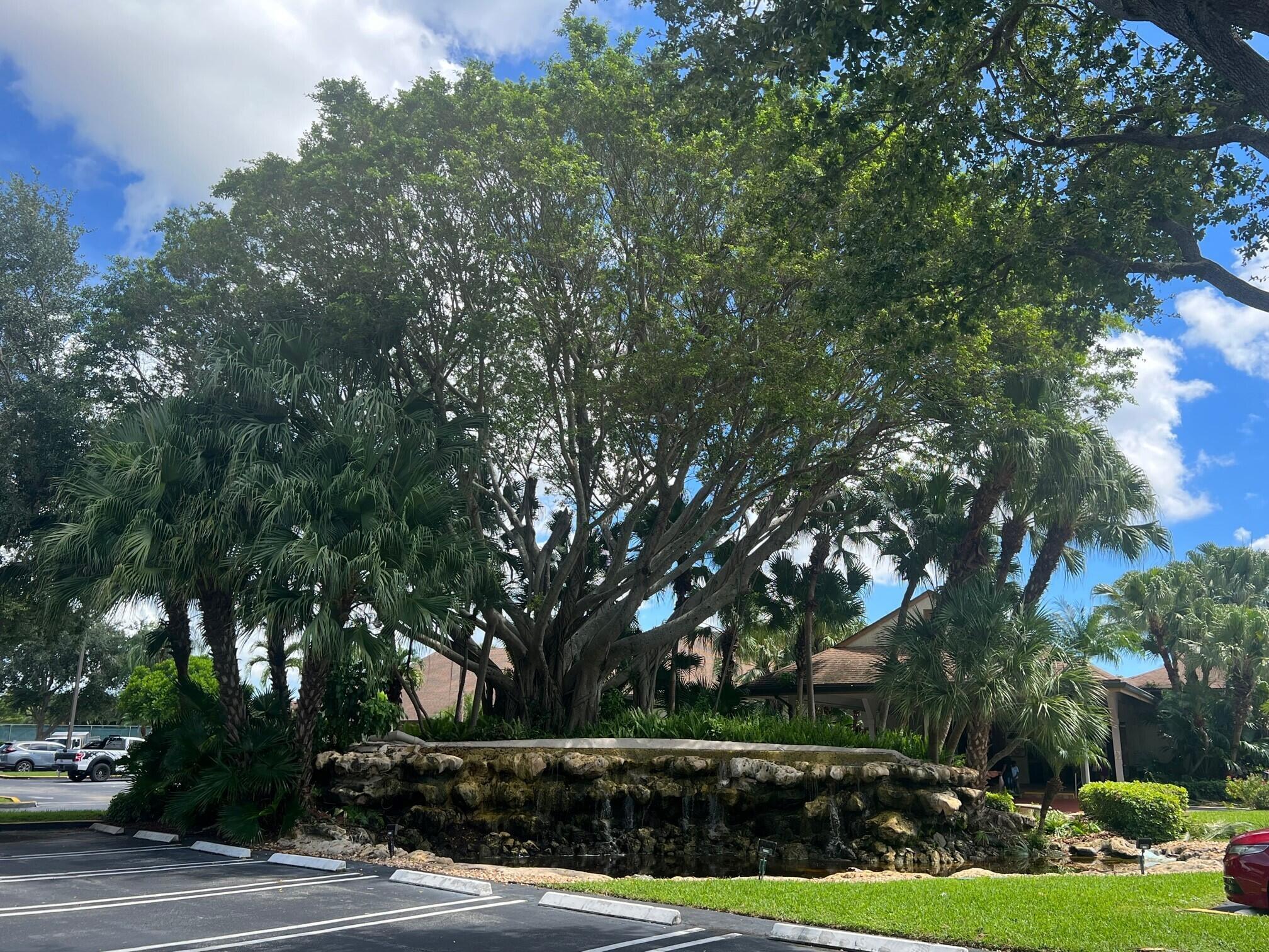 BANYAN SPRINGS - Residential