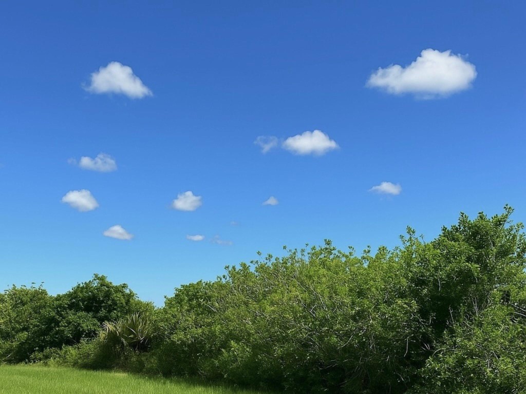 Sherman Wood Ranches - Land