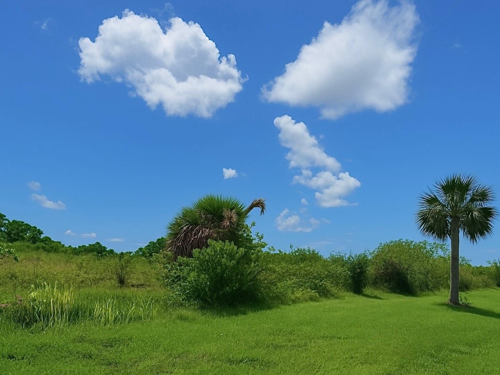 Sherman Wood Ranches - Land
