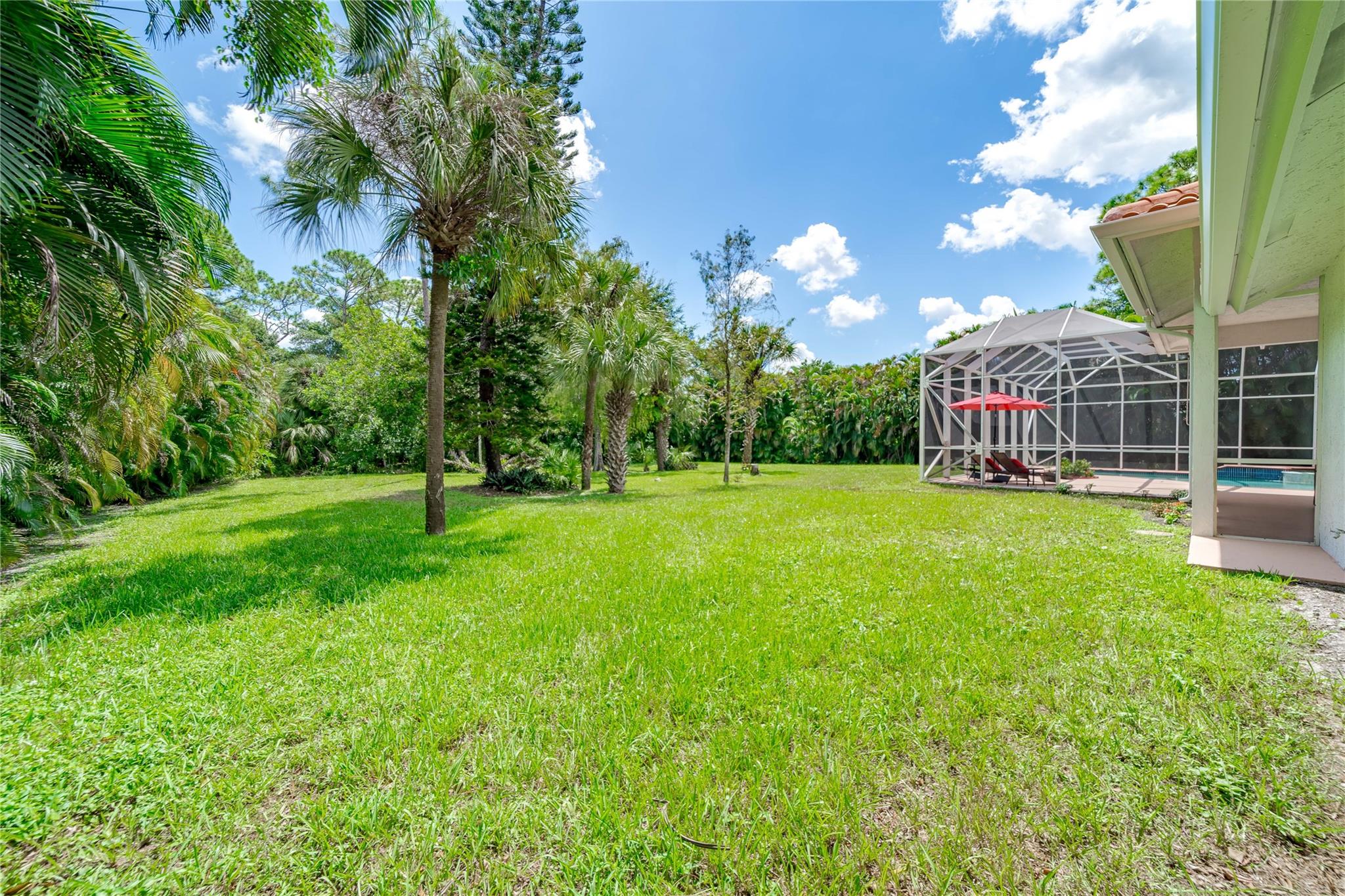 Pine Tree Estates - Residential
