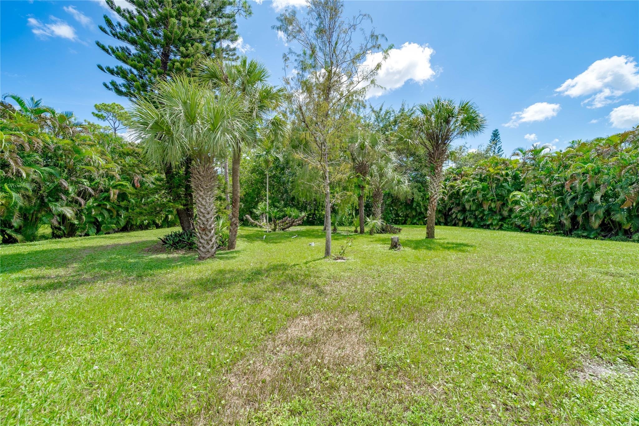 Pine Tree Estates - Residential