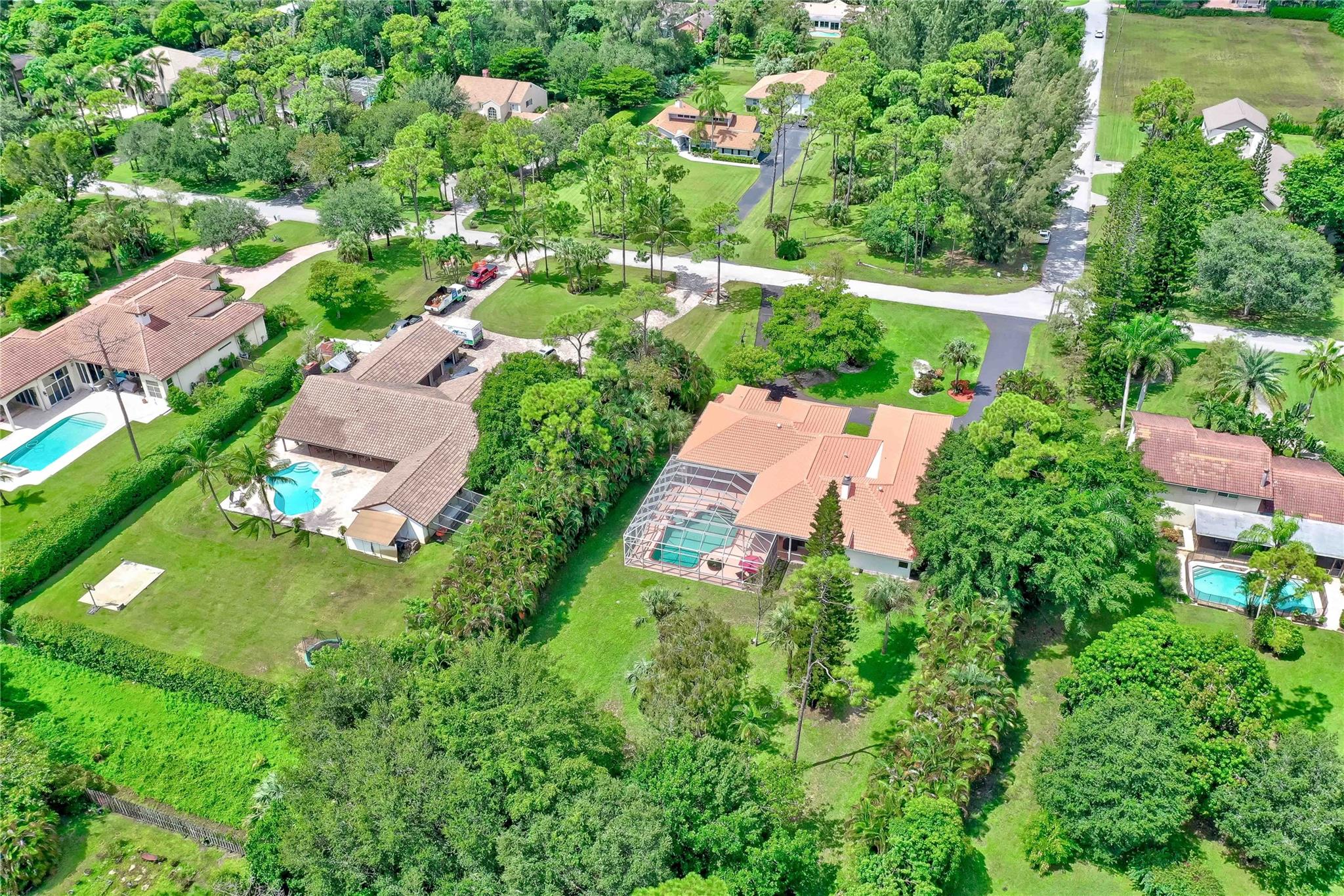 Pine Tree Estates - Residential