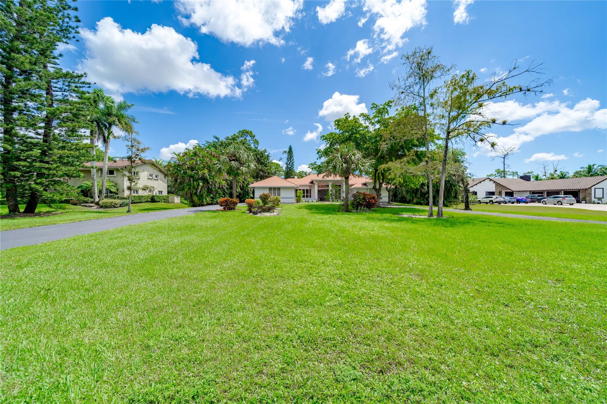 Pine Tree Estates - Residential
