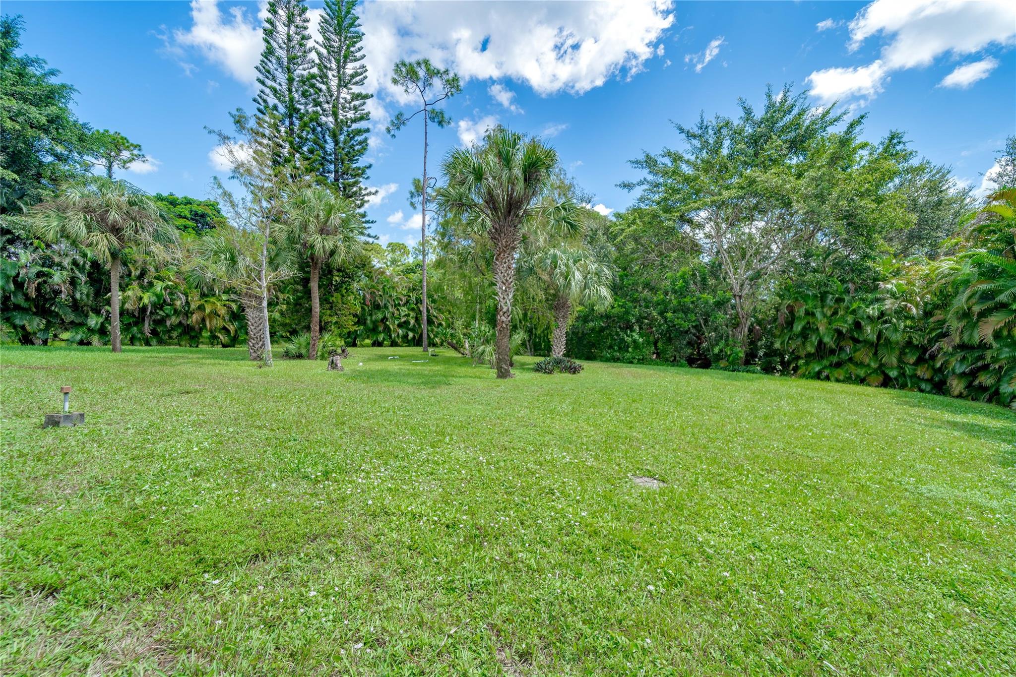 Pine Tree Estates - Residential