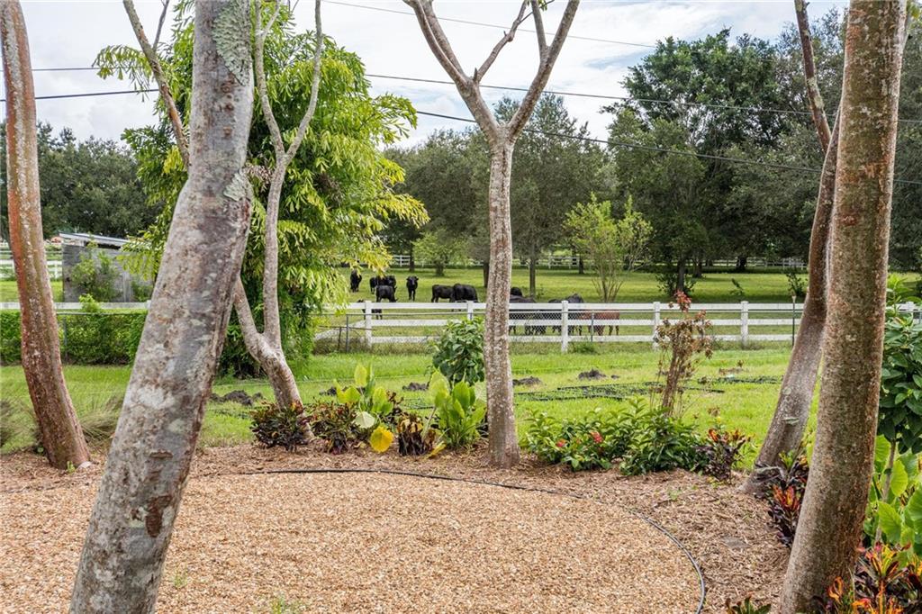 EVERGLADES SUGAR & LAND C - Residential