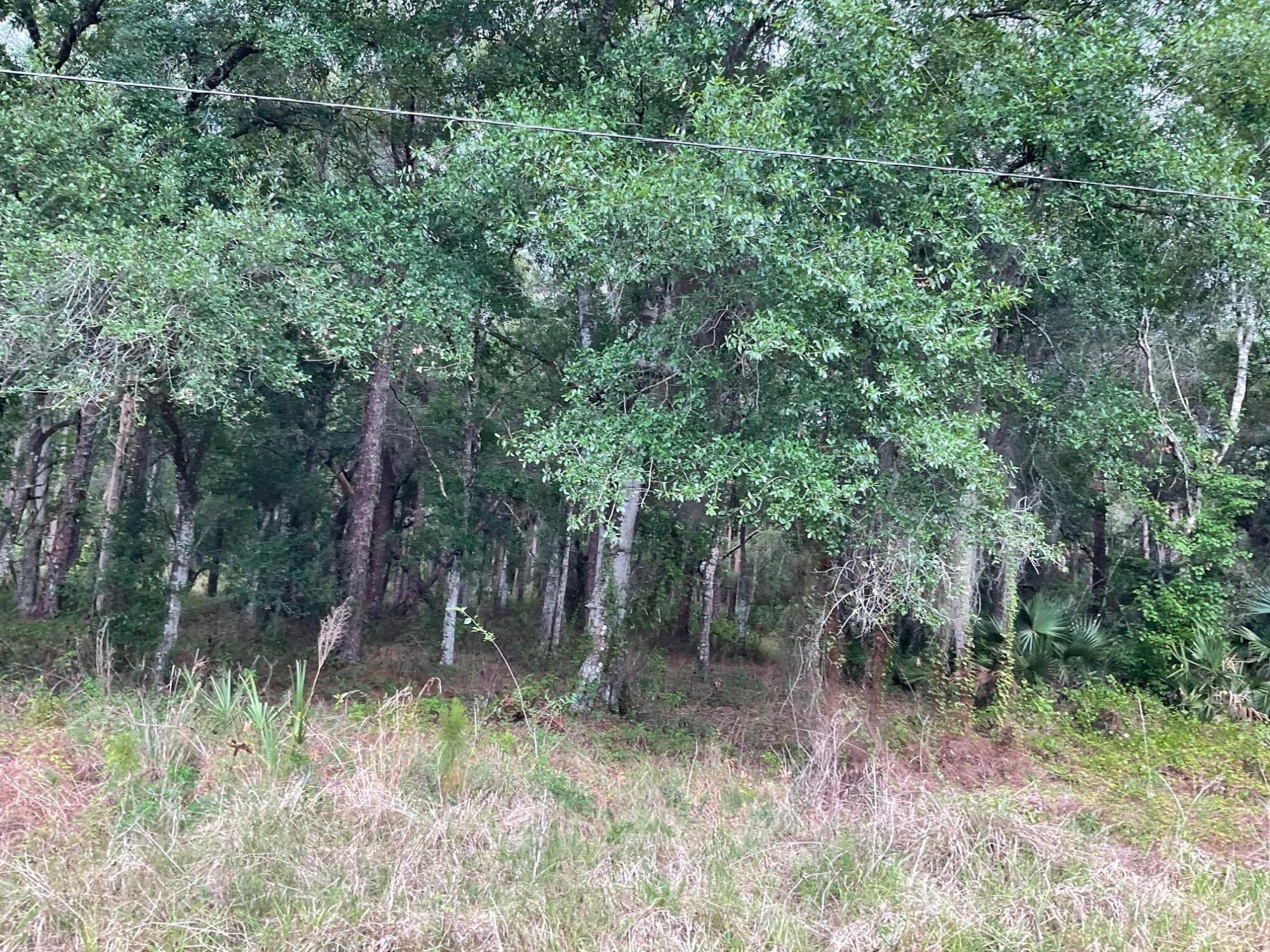 COUNTRY HILLS ESTATES - Land