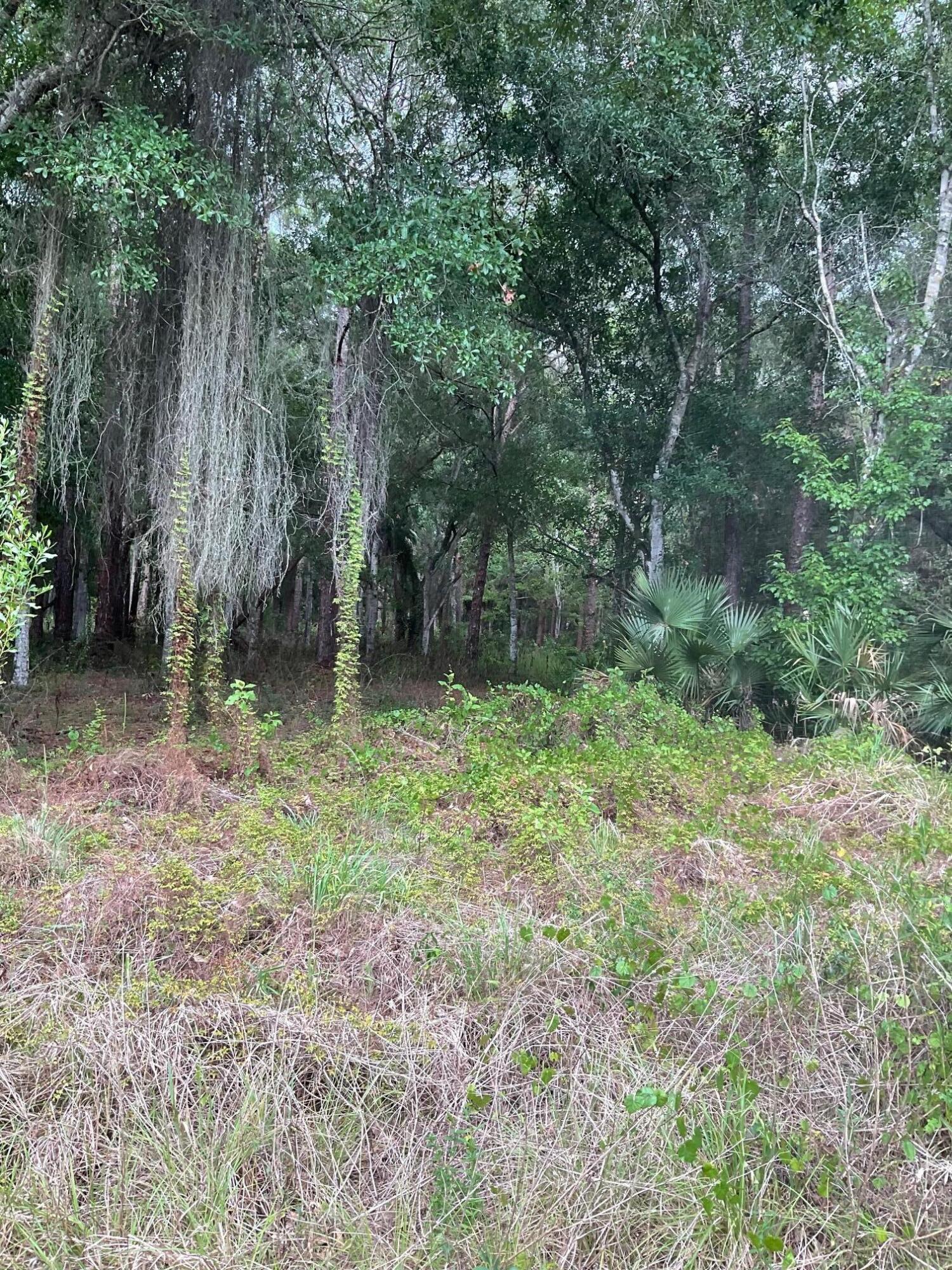 COUNTRY HILLS ESTATES - Land