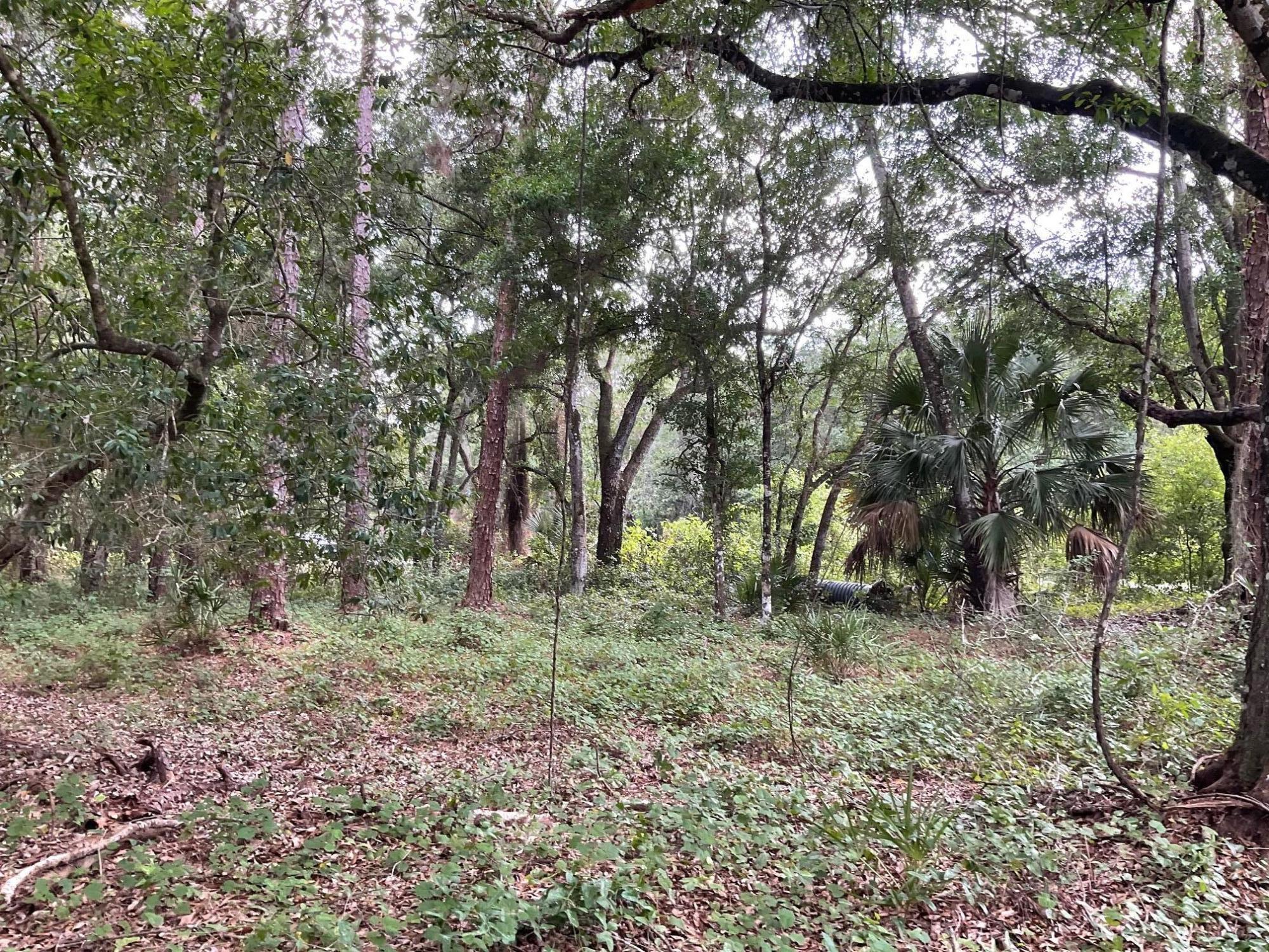COUNTRY HILLS ESTATES - Land