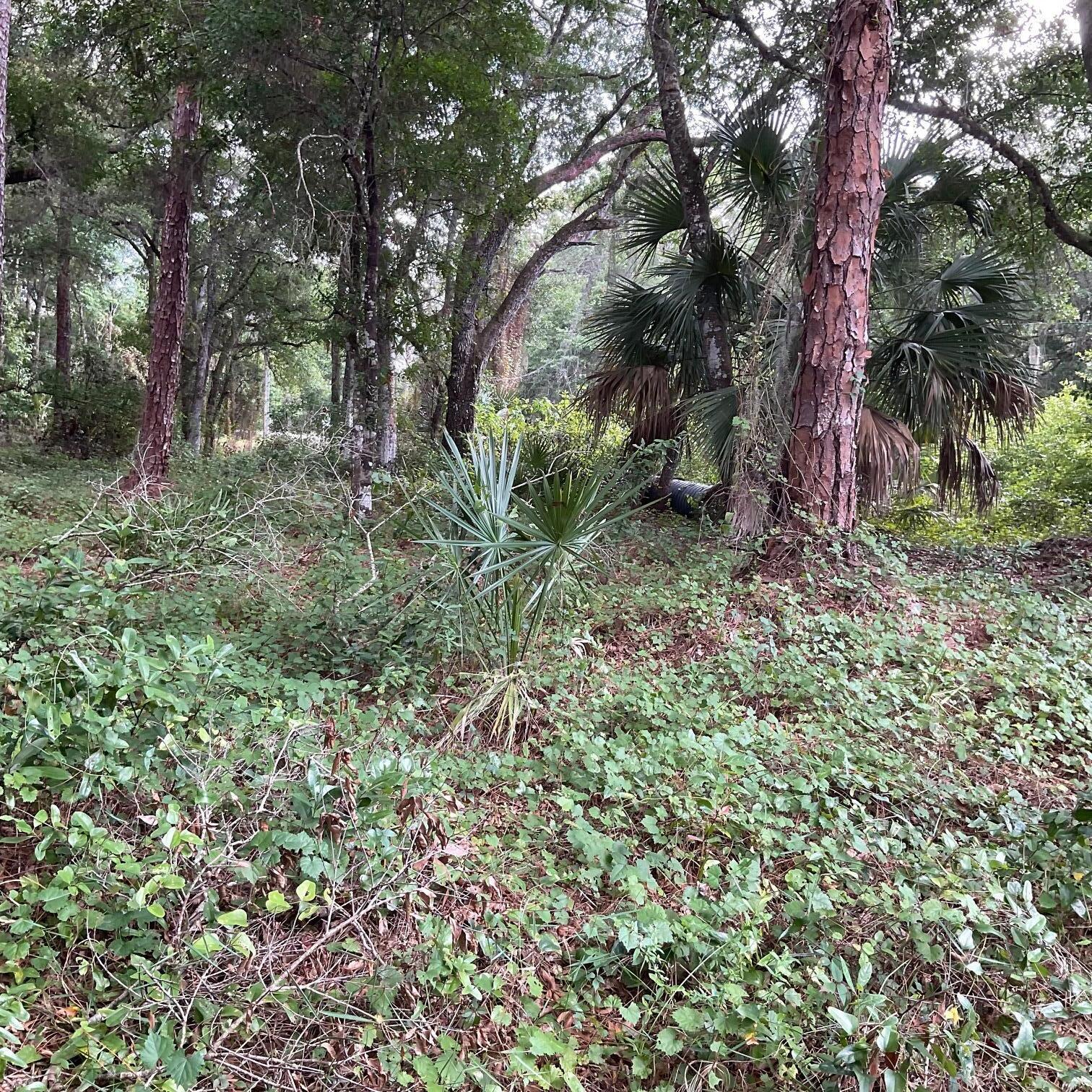 COUNTRY HILLS ESTATES - Land