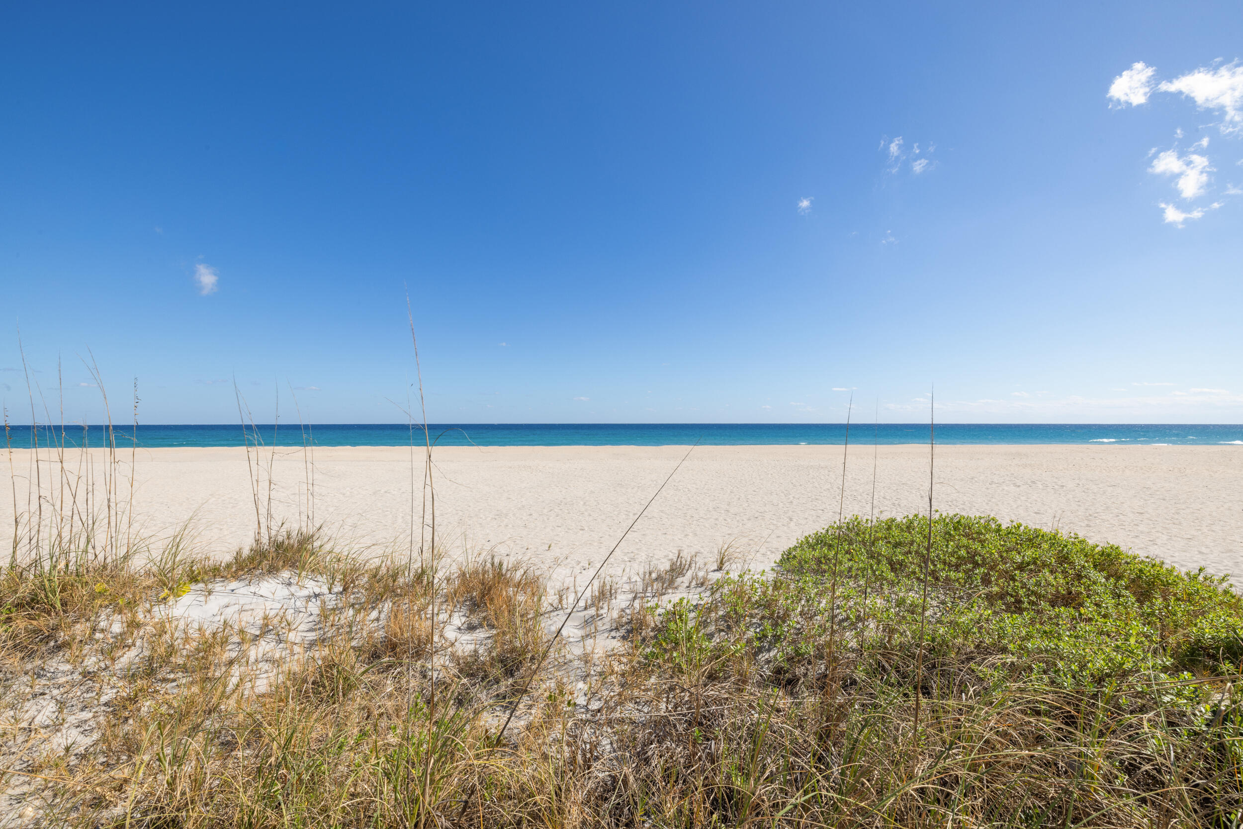TWENTY TWO NINETY FIVE SOUTH OCEAN BLVD - Residential