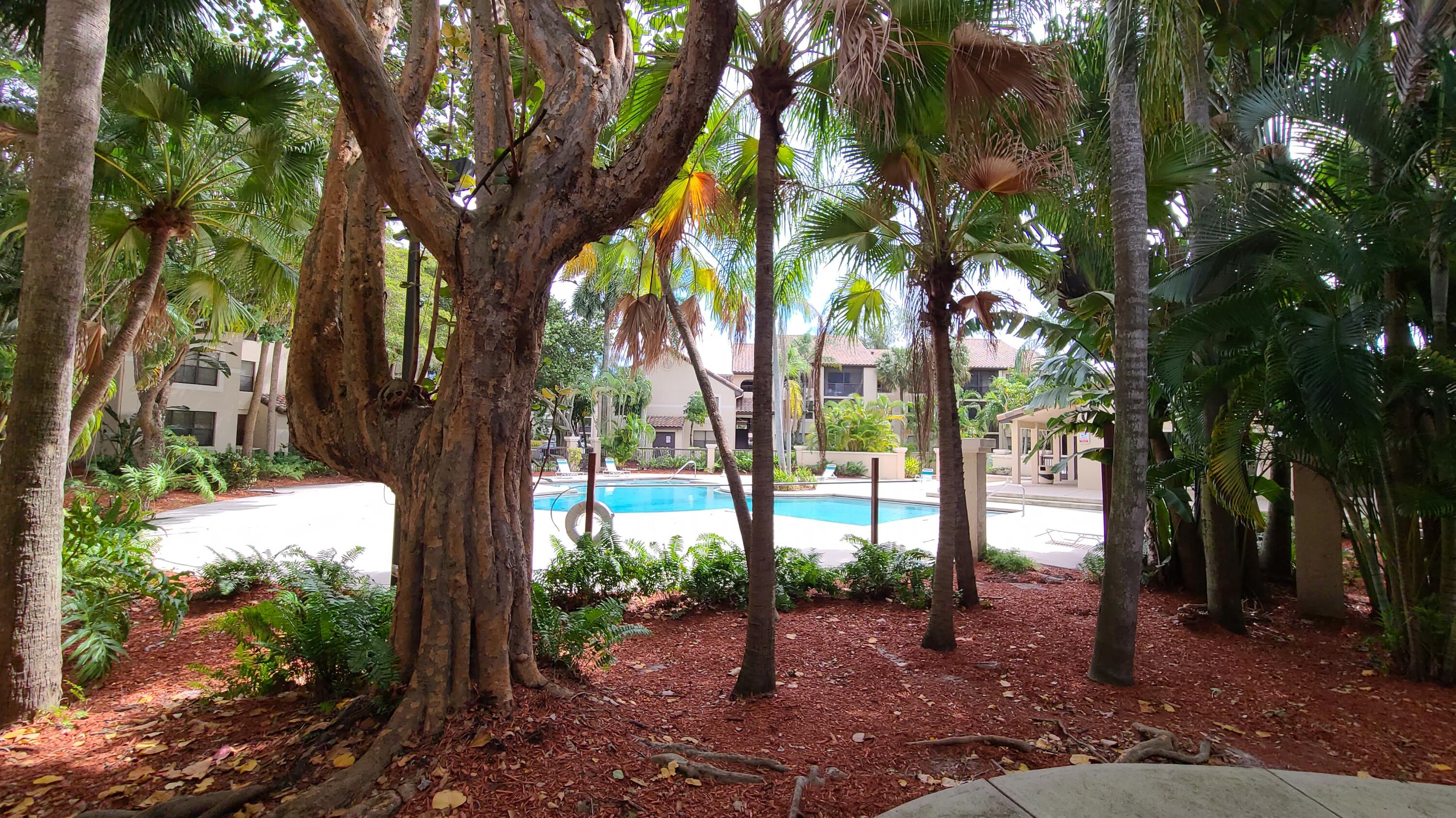 PALM AIRE GARDENS CONDO - Residential