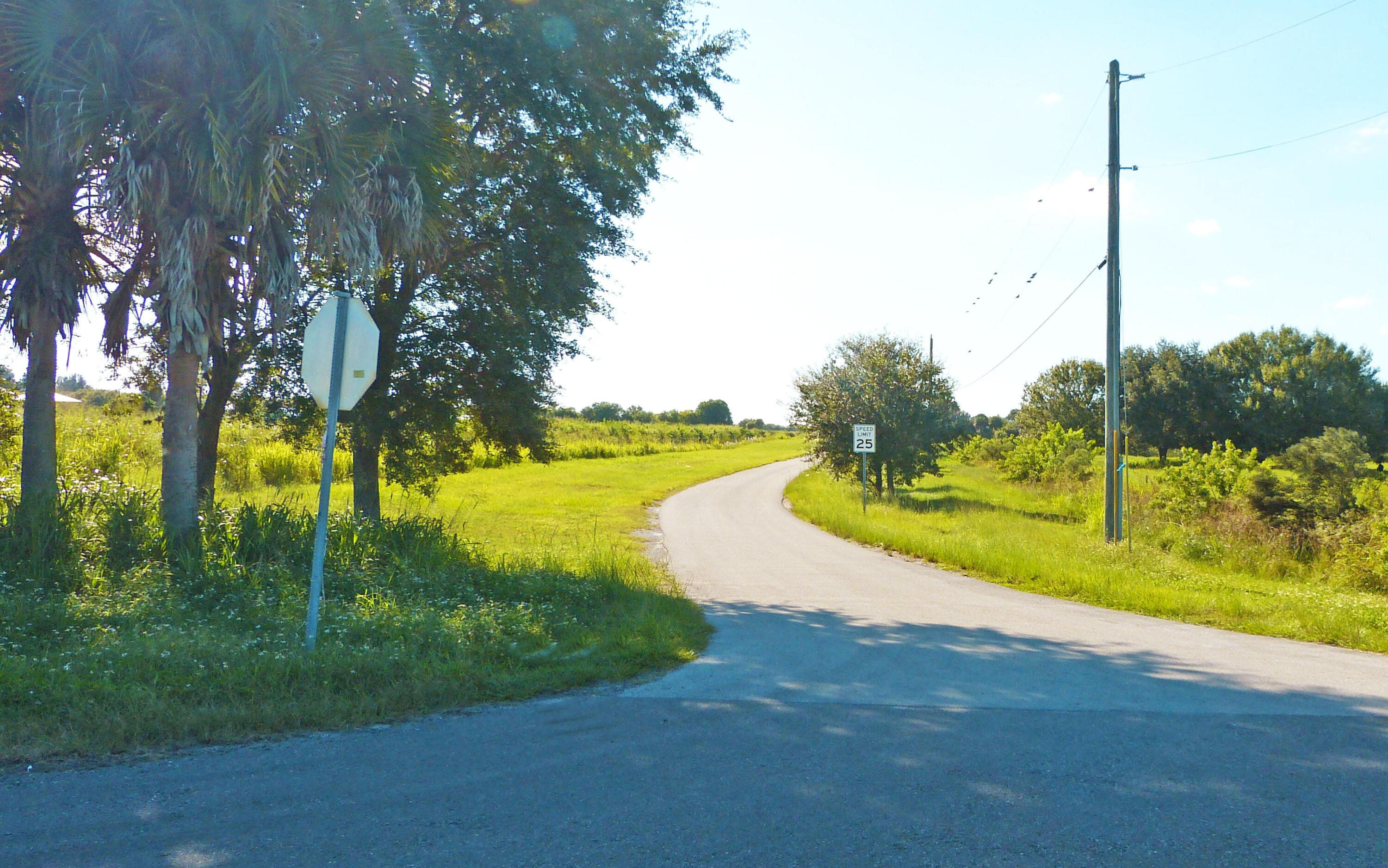 Former citrus land now with cattle grazing and AG-Exemption taxation. Lot faces Pineapple Lane and is surrounded by ranchette & equestrian homesites. This lot has scattered oaks throughout.