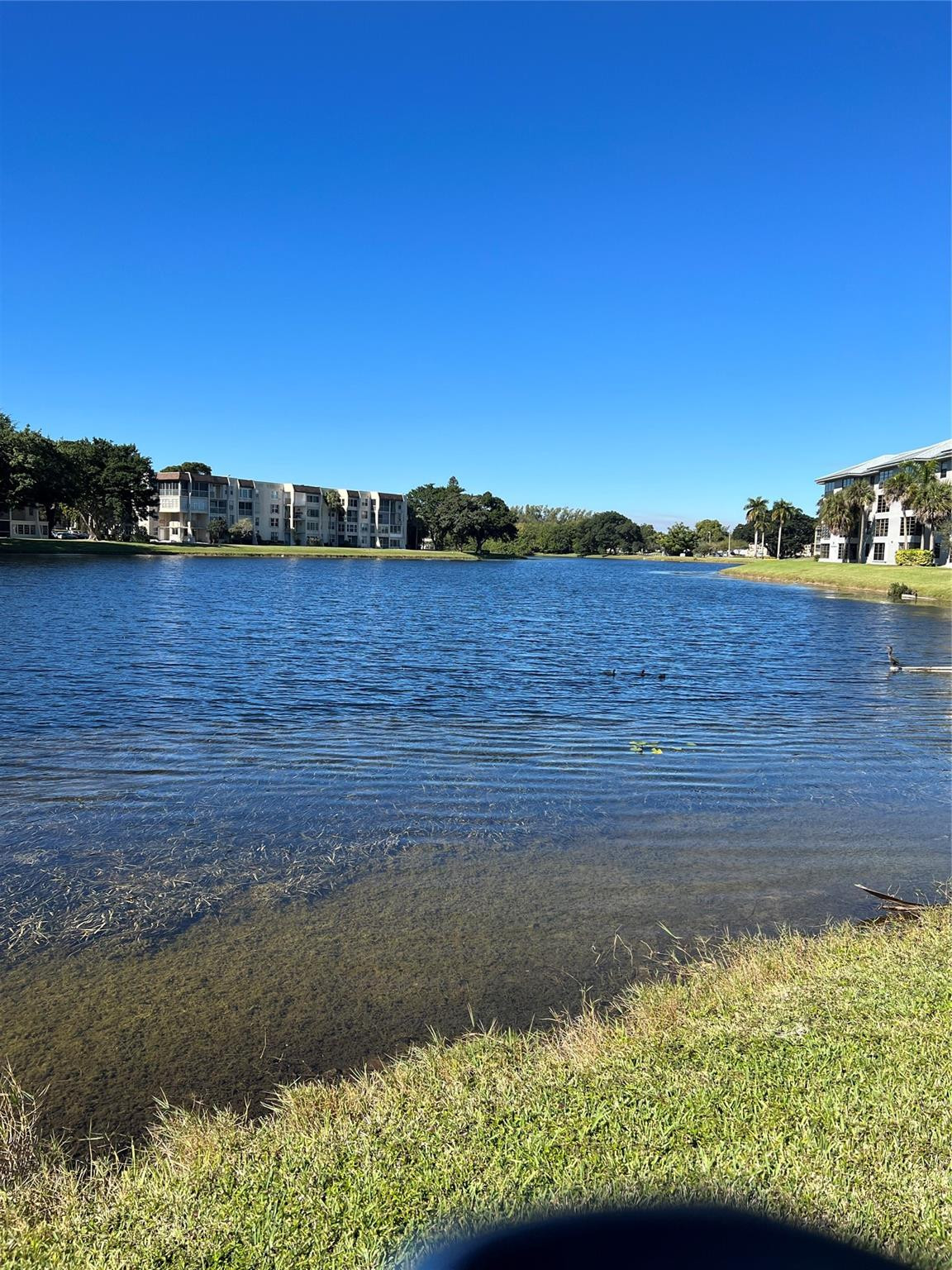 CONDO 13 OF WHITEHALL CONDOS - Residential Lease
