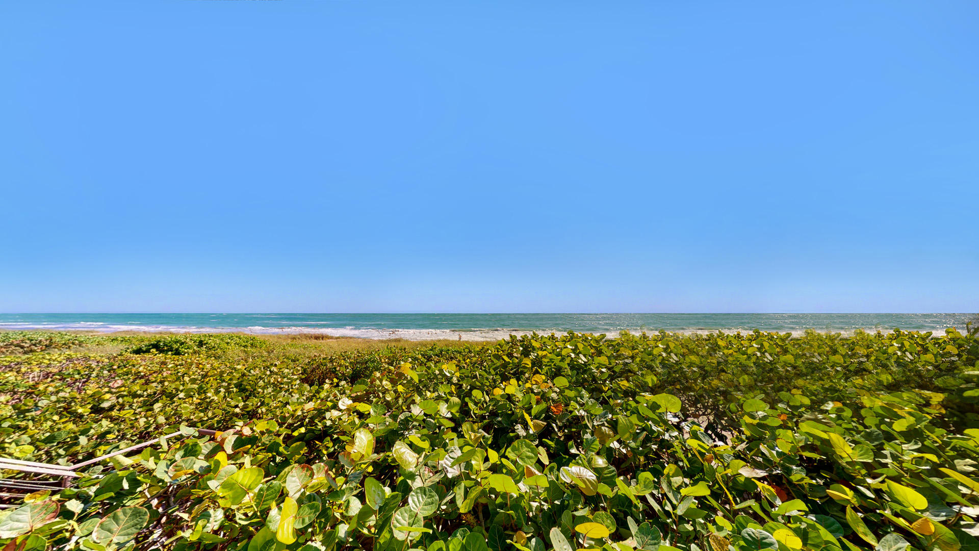 PALM BEACH SHORE ACRES - Residential
