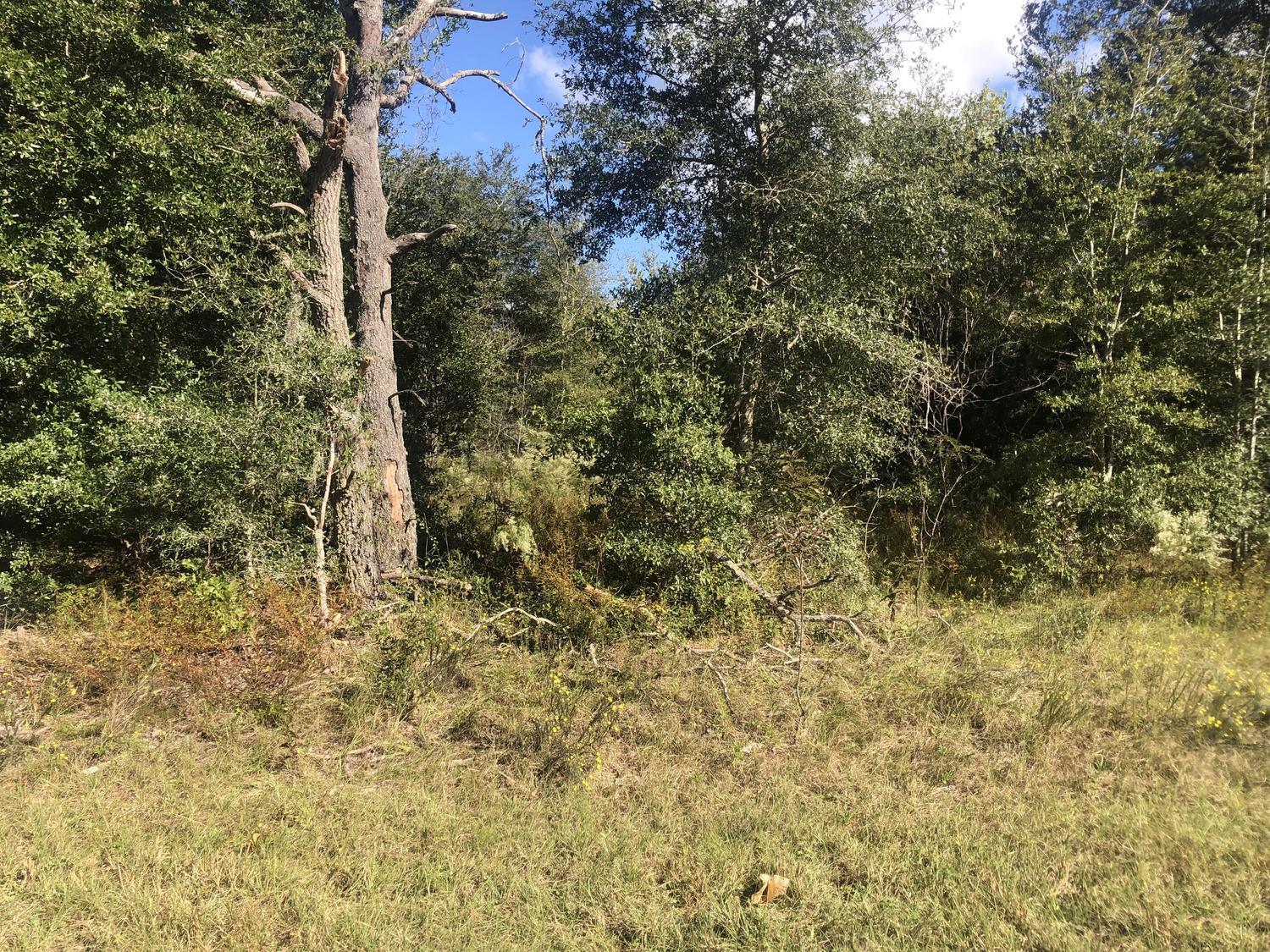 ILE44 Interlachen Lakes Estates - Land